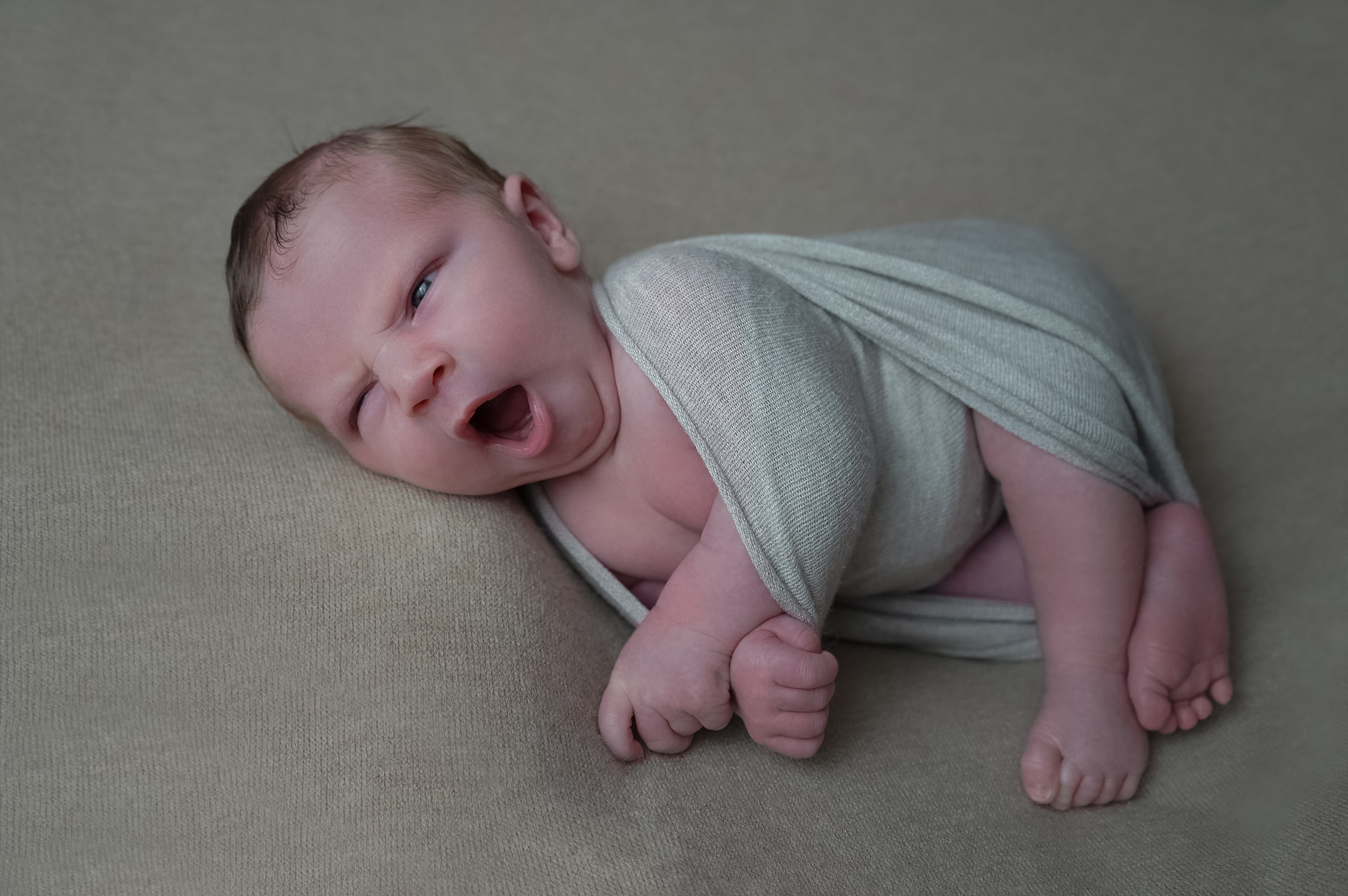 Давид. 04.02.2026. Фотограф СЕМЬИ и ДЕТСТВА в Краснодаре и Краснодарском крае Екатерина Москат