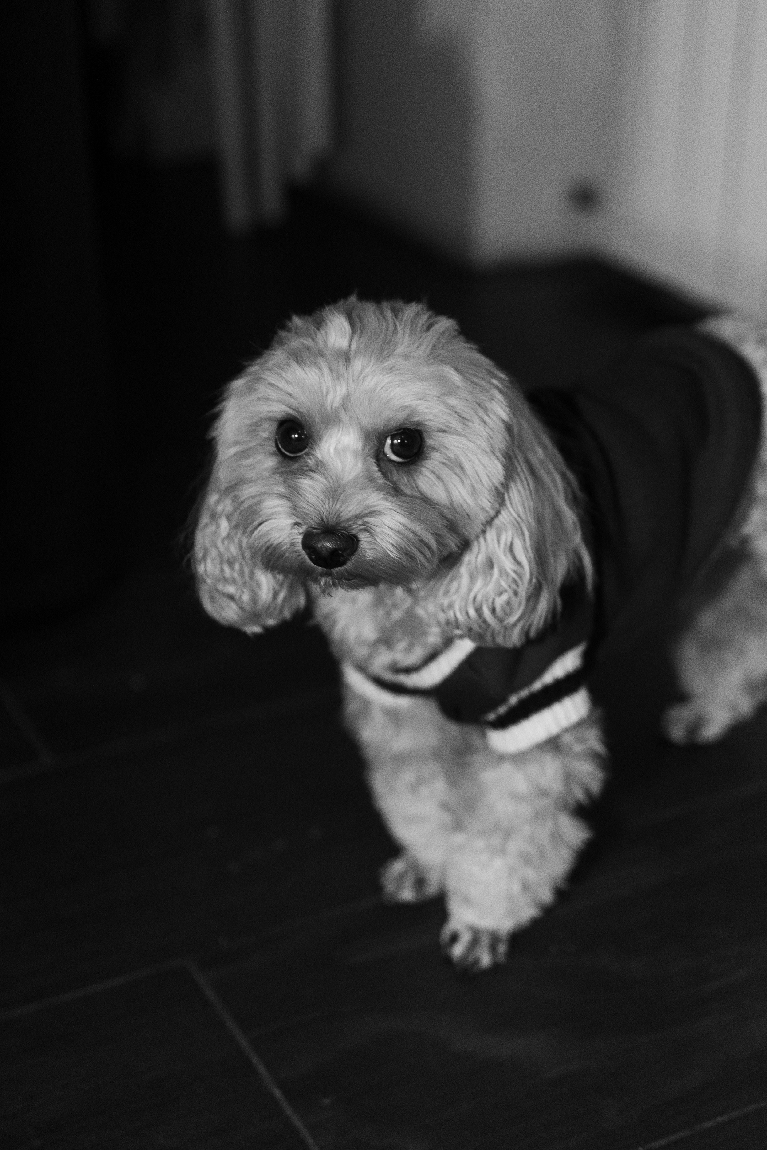 День рождения//Ирина. Главная