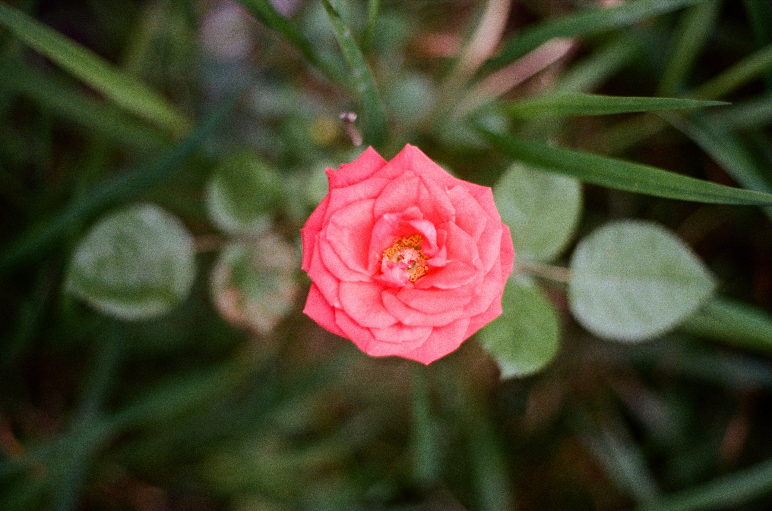 Фотограф в Москве Александр Иванов