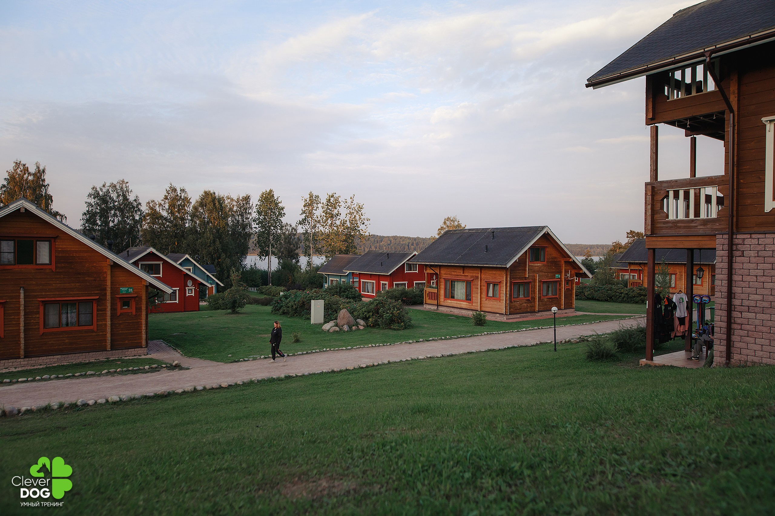 Кинологический лагерь CleverDog, 2024. Фотограф-анималист Mary Mart — Москва, Питер