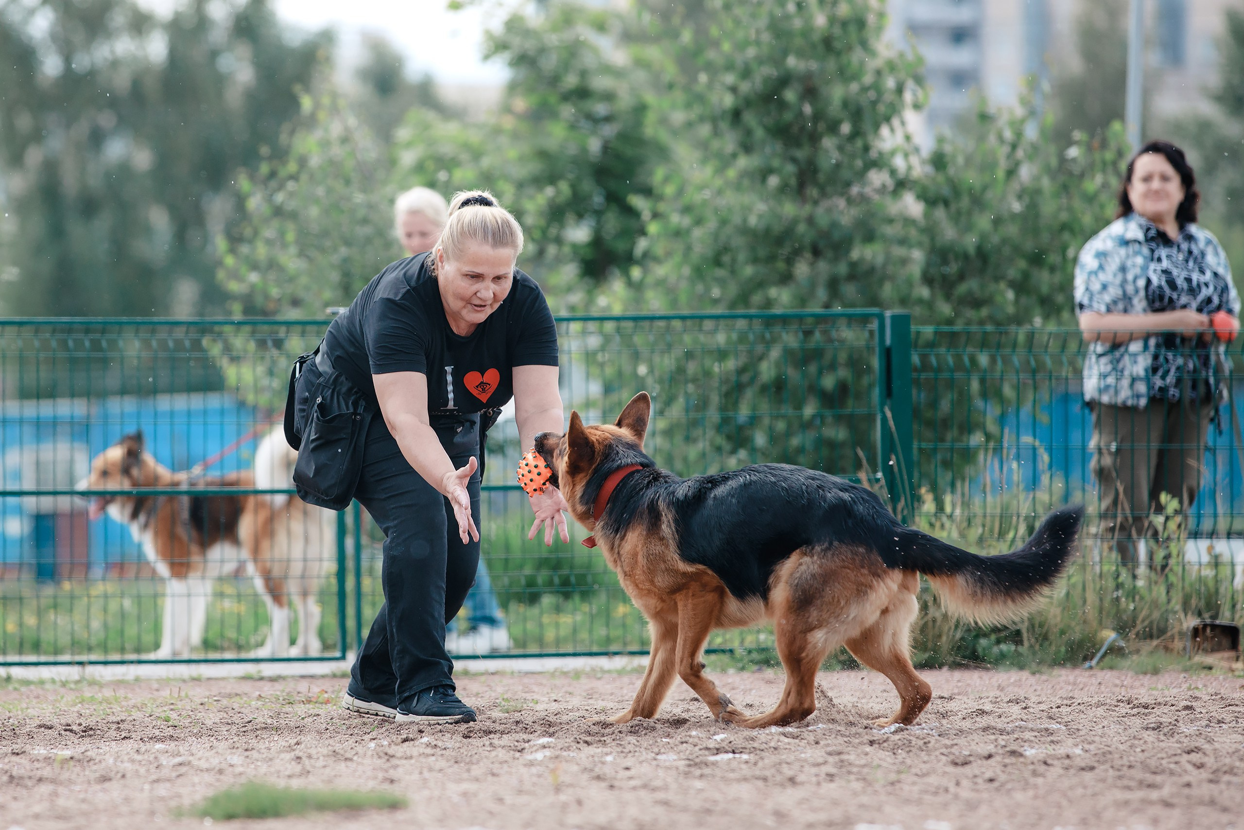 Питч&Гоу + веселые старты. Фотограф-анималист Mary Mart — Москва, Питер