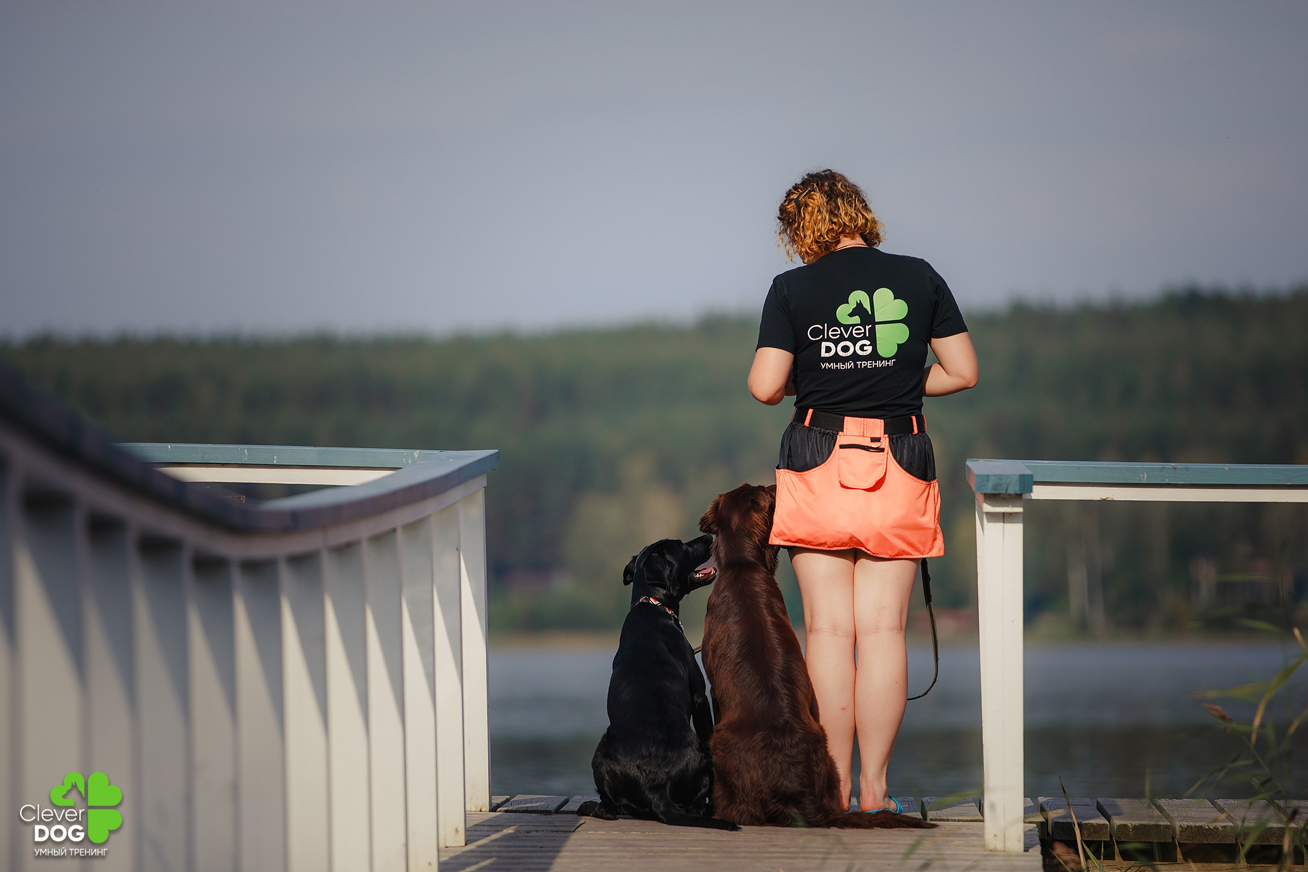 Кинологический лагерь CleverDog, 2024. Фотограф-анималист Mary Mart — Москва, Питер