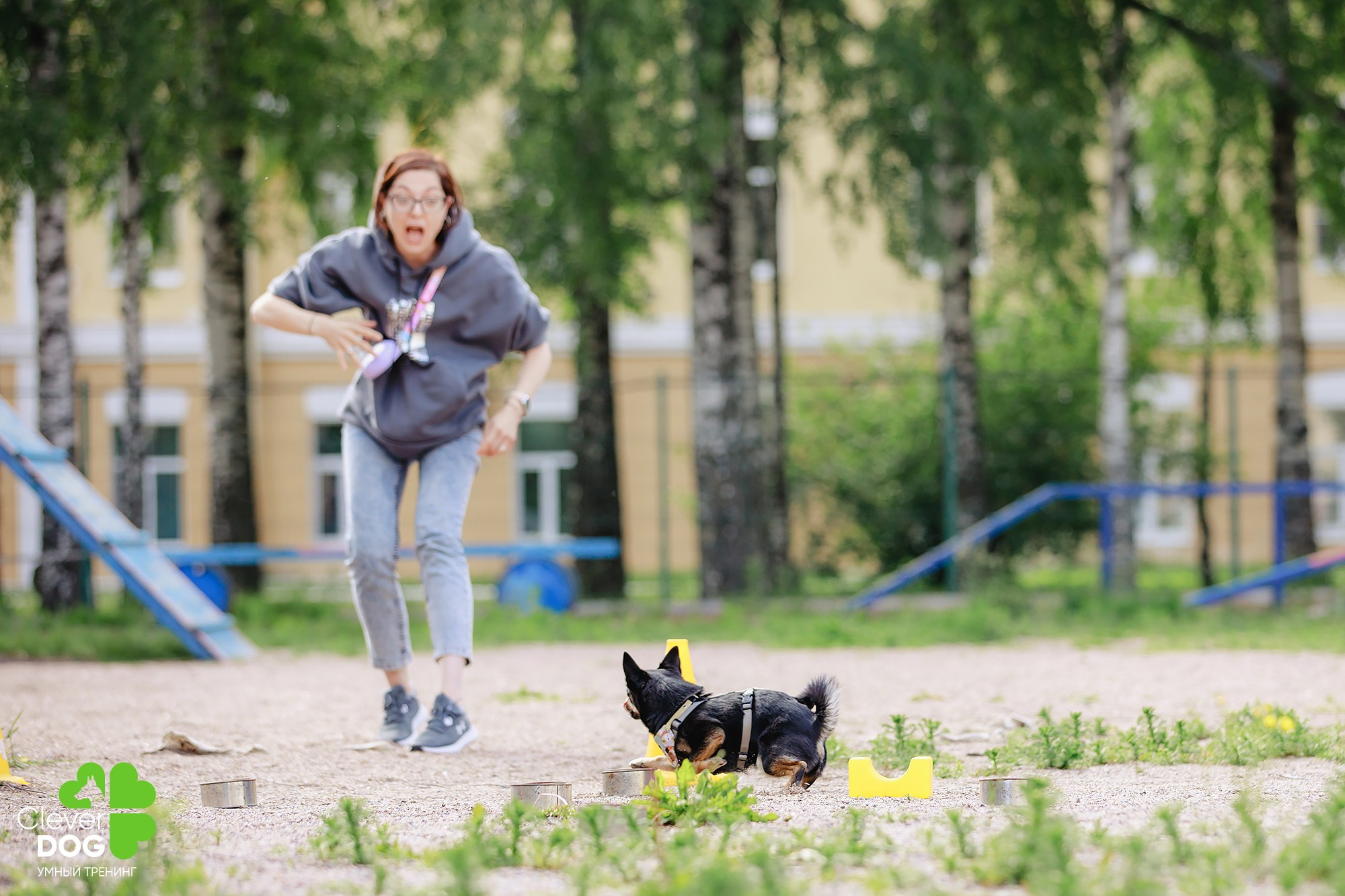 Семинар по поиску запаха с Иваном Ломовым, организатор CleverDog, СПб. Фотограф-анималист Mary Mart — Москва, Питер