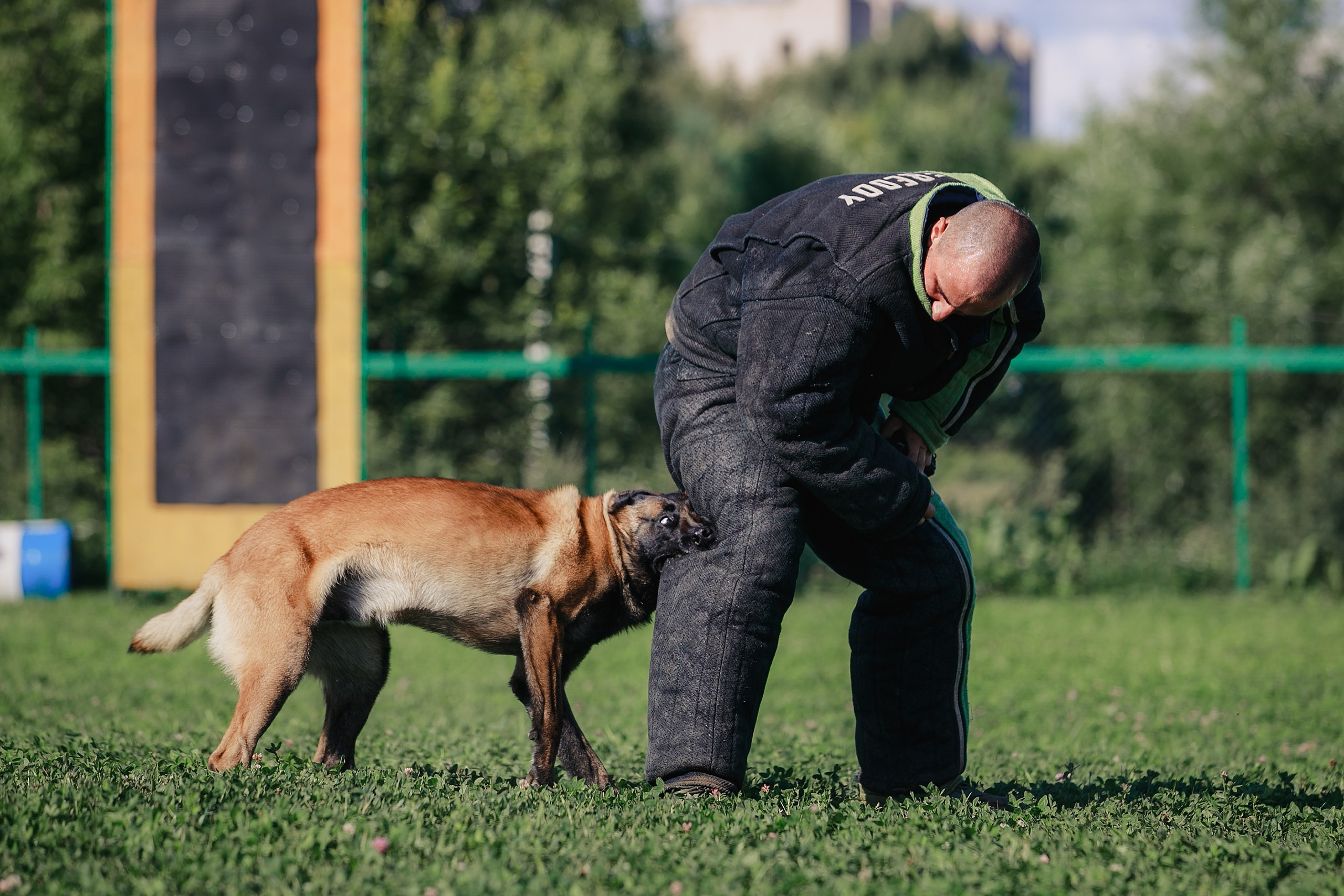 Мондьоринг М1, М2, М3, Вологда. Фотограф-анималист Mary Mart — Москва, Питер