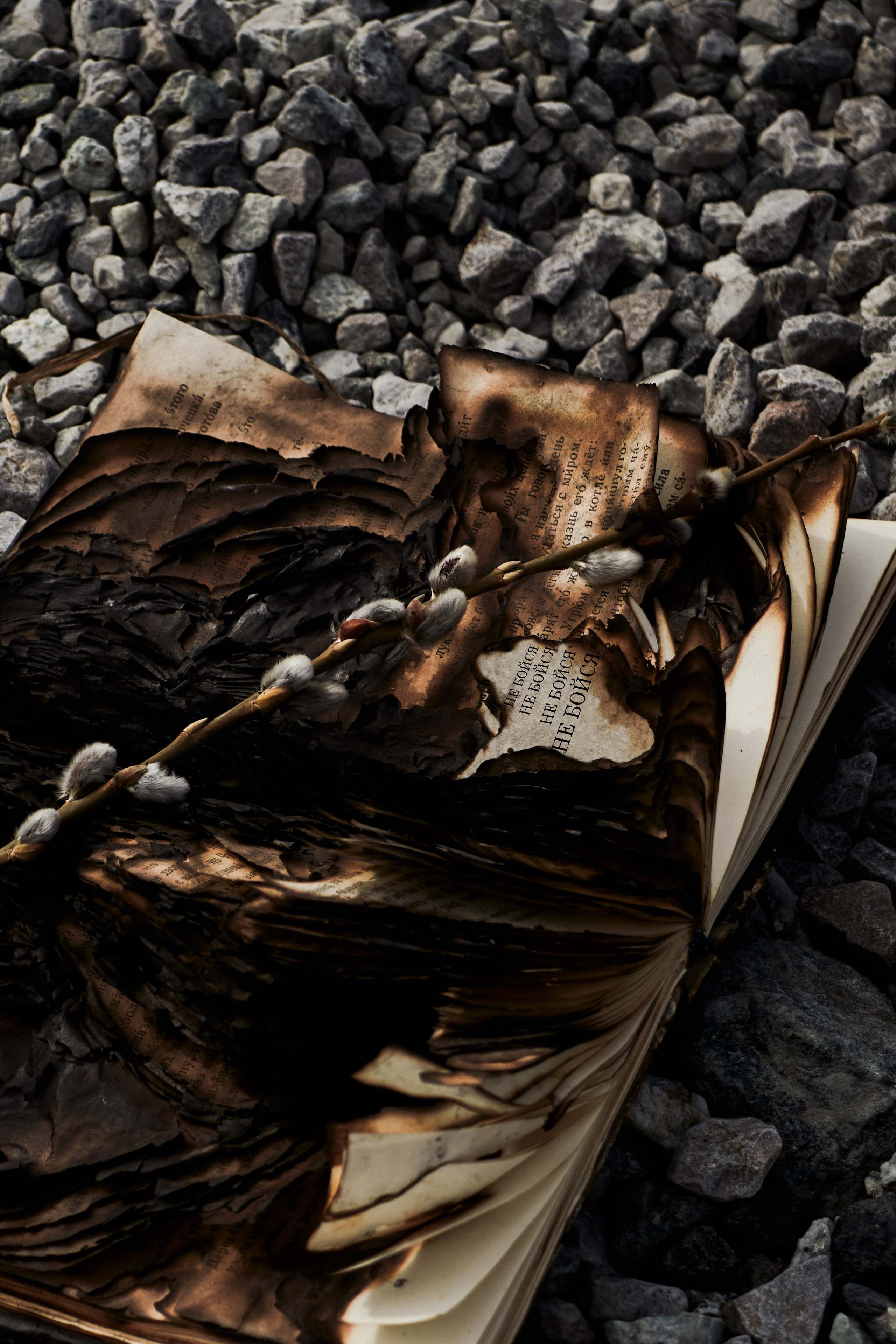 СВРТ Первые муражки. Simpleand1