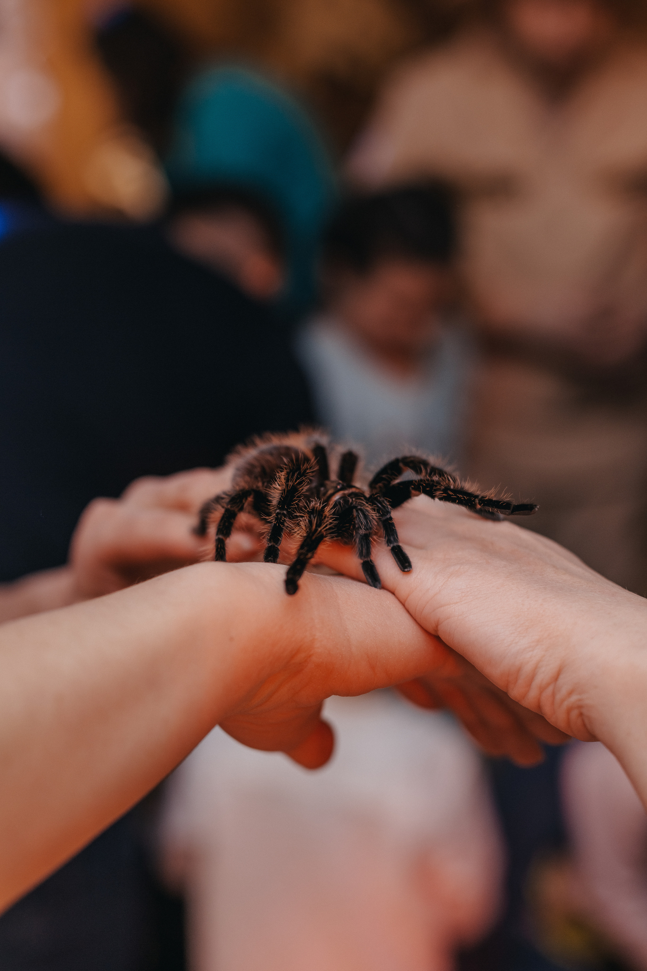 АРТЕМИЮ 5 ЛЕТ!. Семейный фотограф в Санкт-Петербурге Любовь Савкина