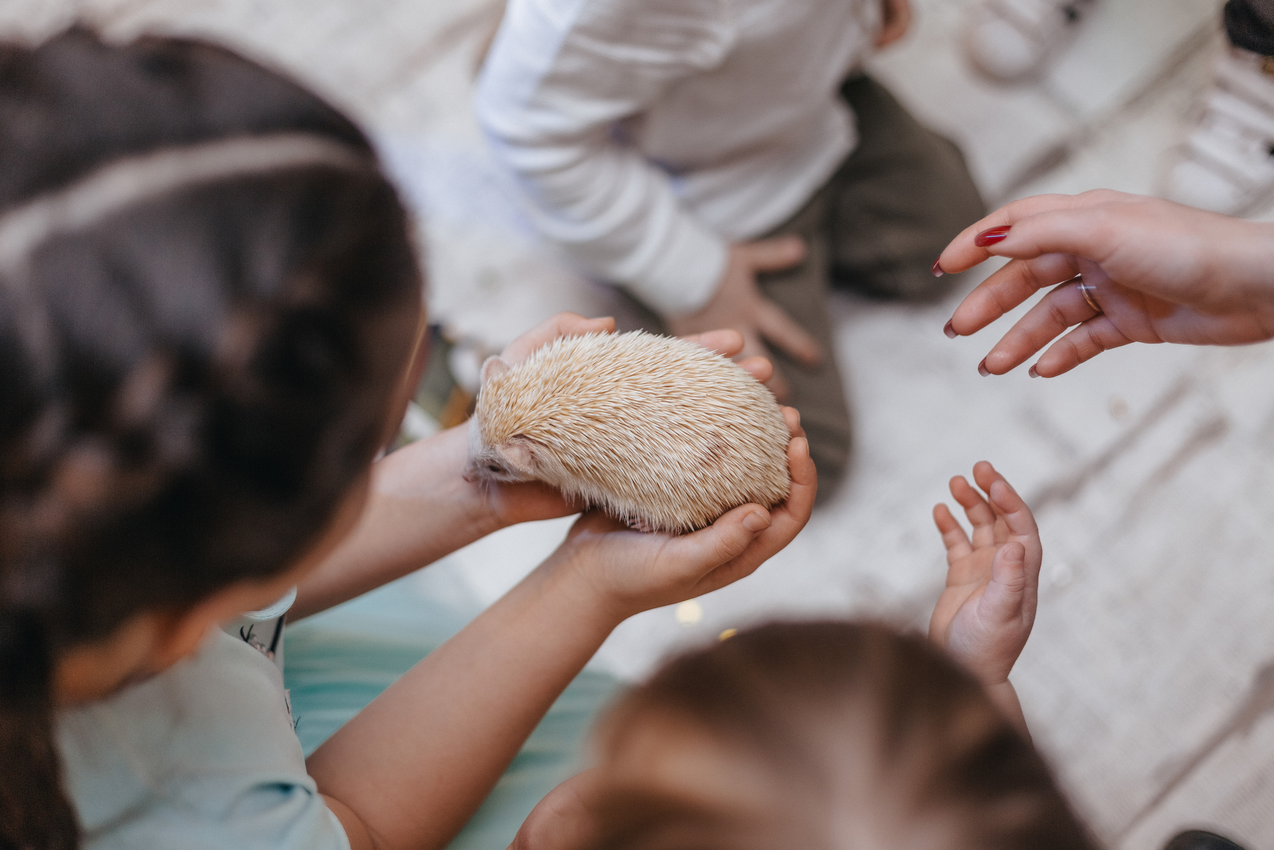 АРТЕМИЮ 5 ЛЕТ!. Семейный фотограф в Санкт-Петербурге Любовь Савкина