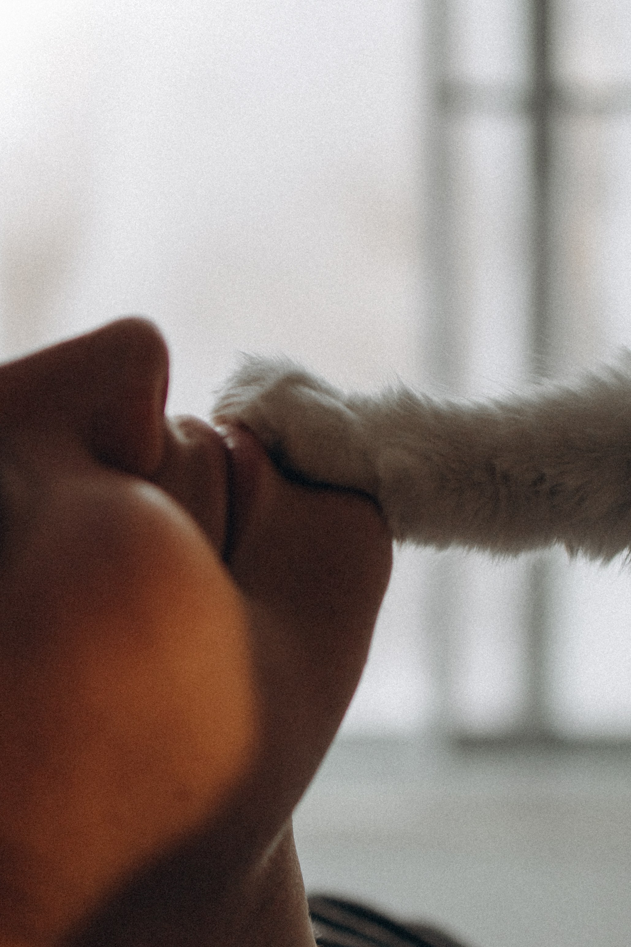 Маша и ее семья. Фотораф — анималист Мария Шистка