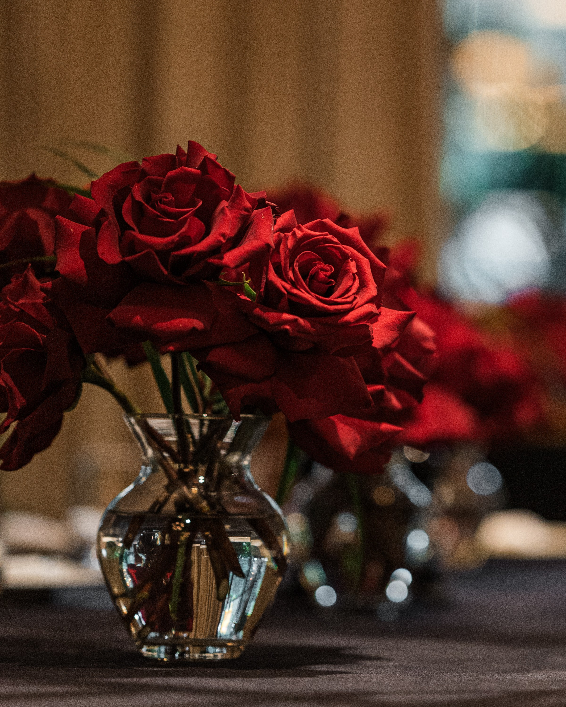 Репортажный фотограф на корпоратив и другие мероприятия. Свадебный и семейный фотограф в Краснодаре Марина Стёпа