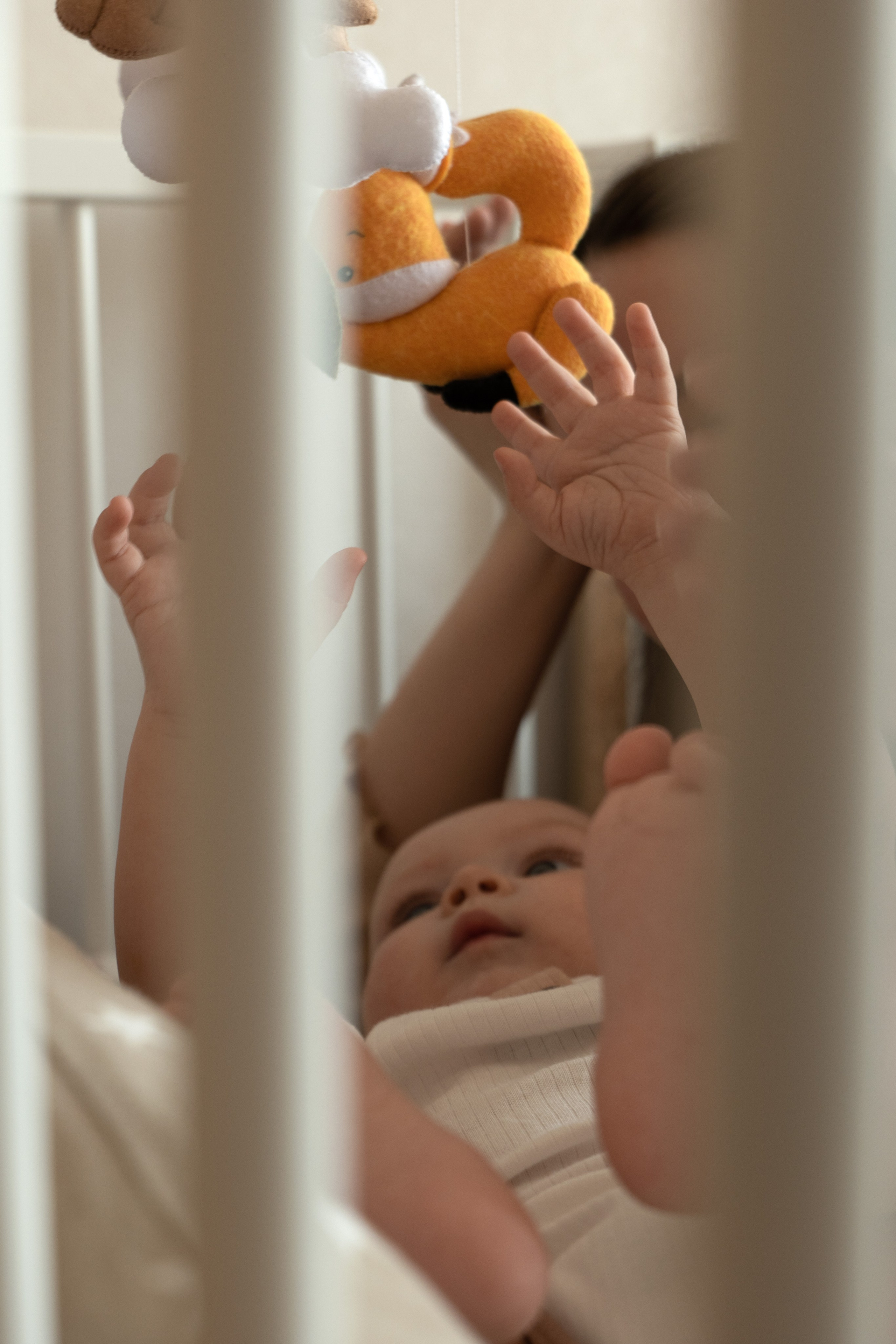 Мама и малыш 6 мес. Фотограф видеограф Ольга Василевская