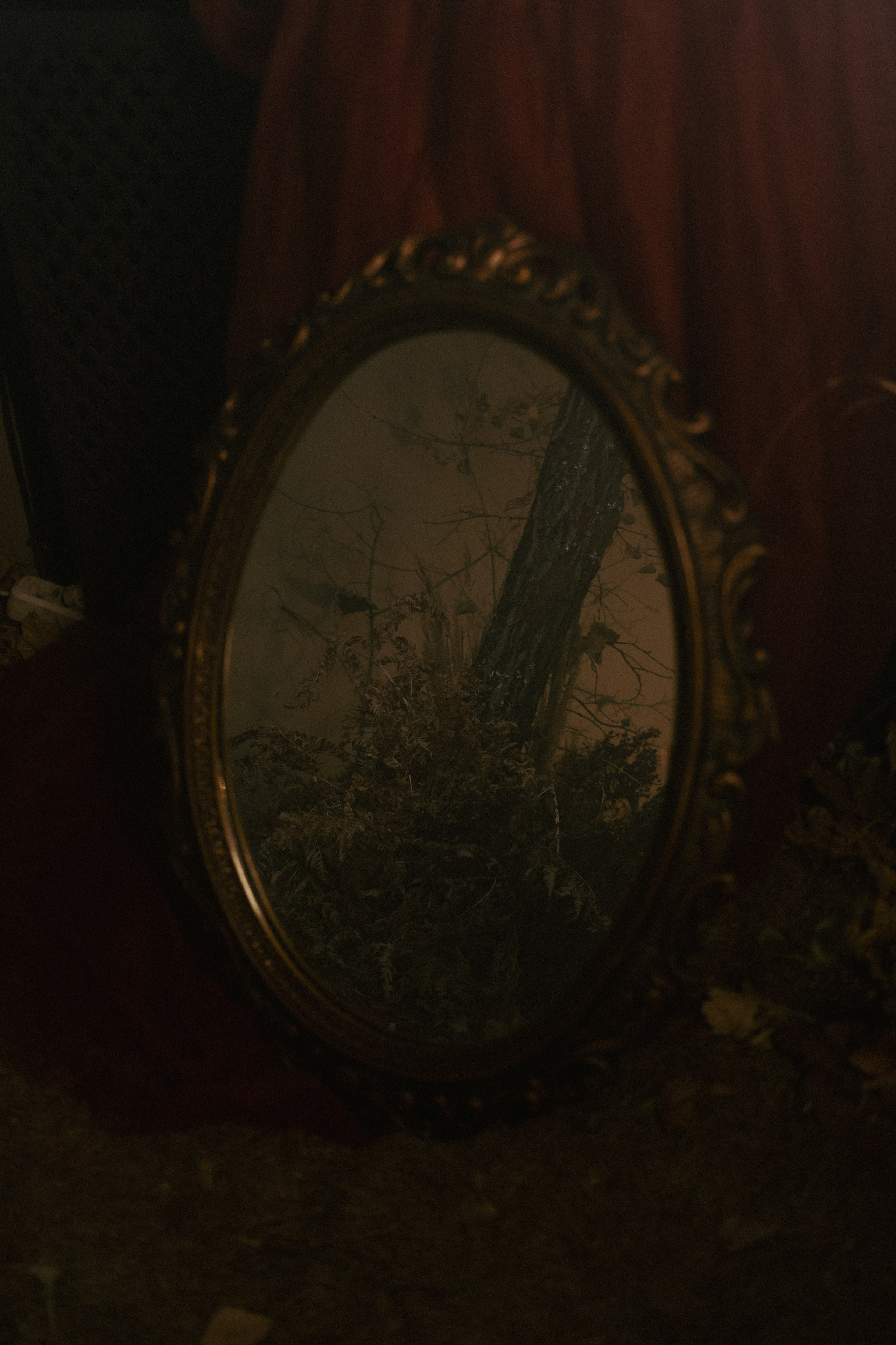 Алина. Фотограф Виктор Курий