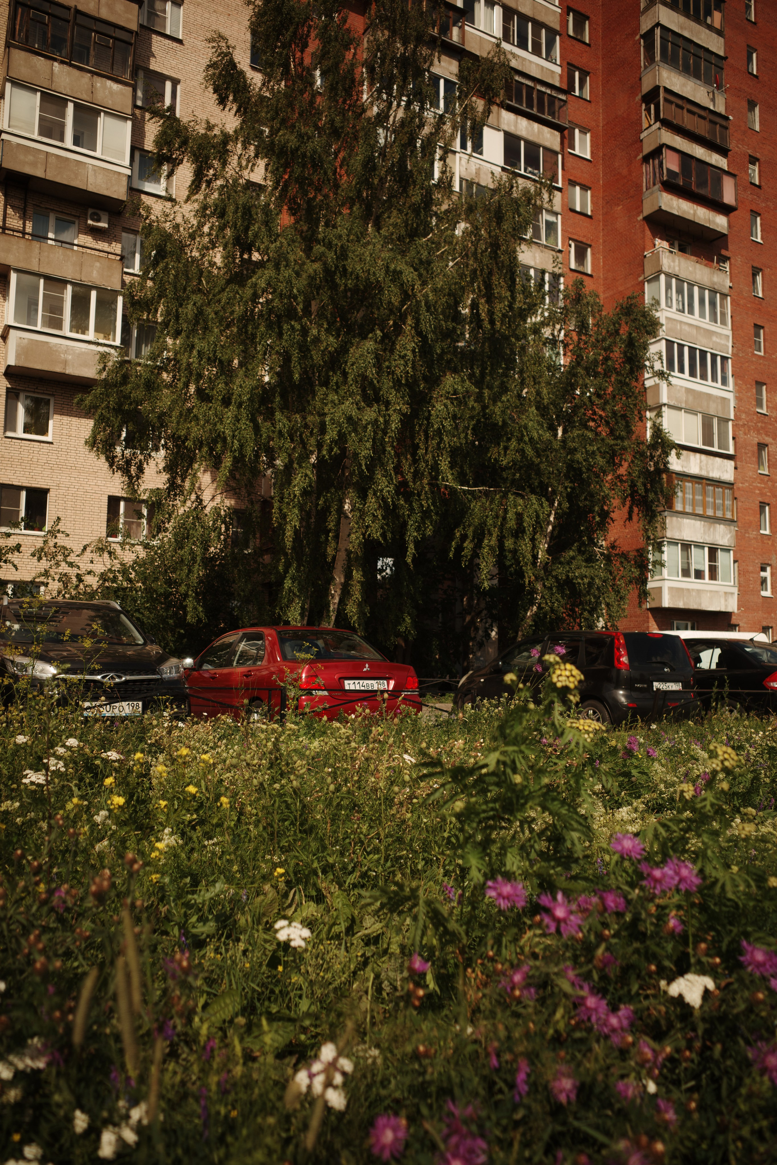 Репортаж. Stanislav Liepa Photography