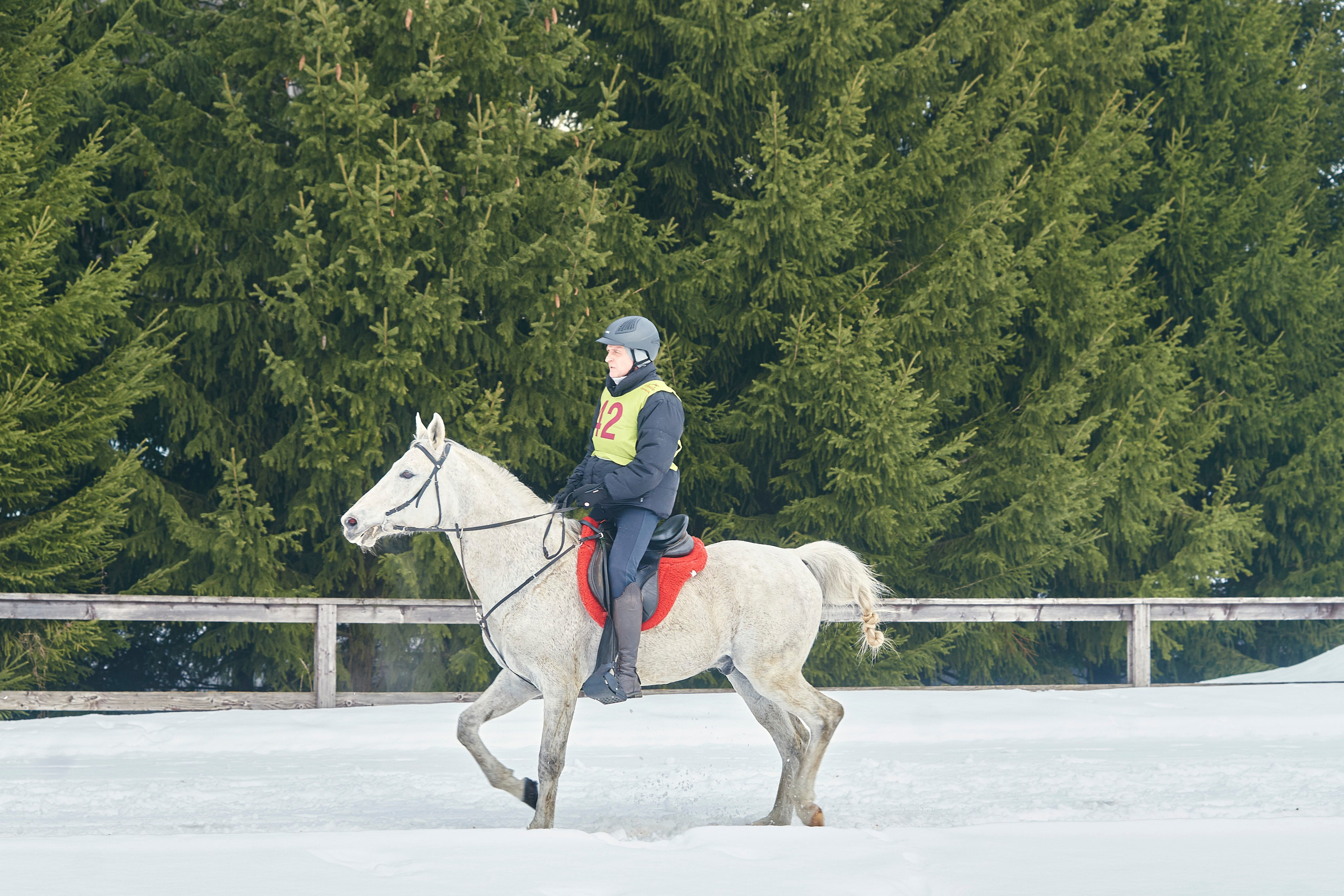 HORSE RACING. Фотограф Наталья Леонова