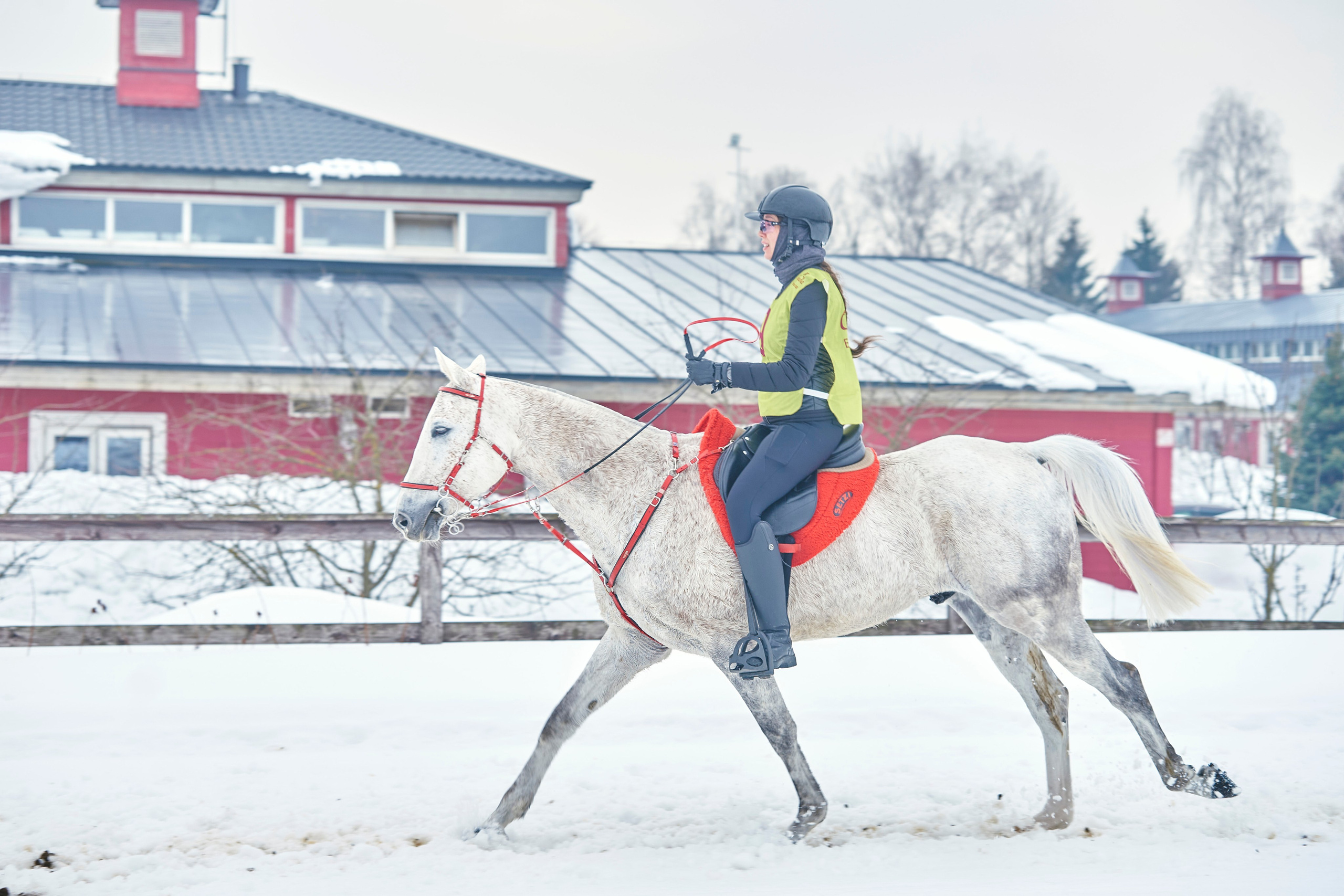 HORSE RACING. Фотограф Наталья Леонова
