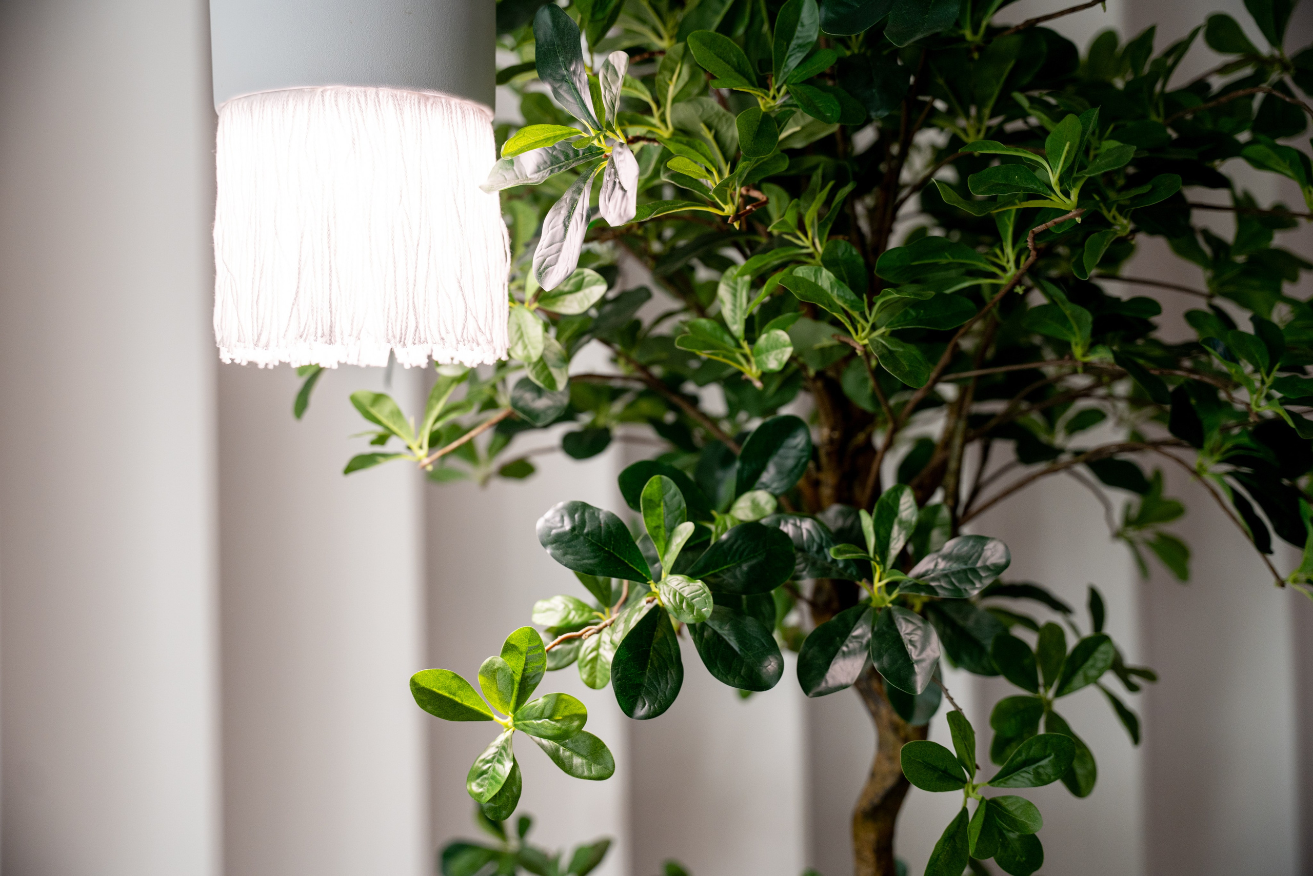 БУТА СПА. Фотограф на любое мероприятие