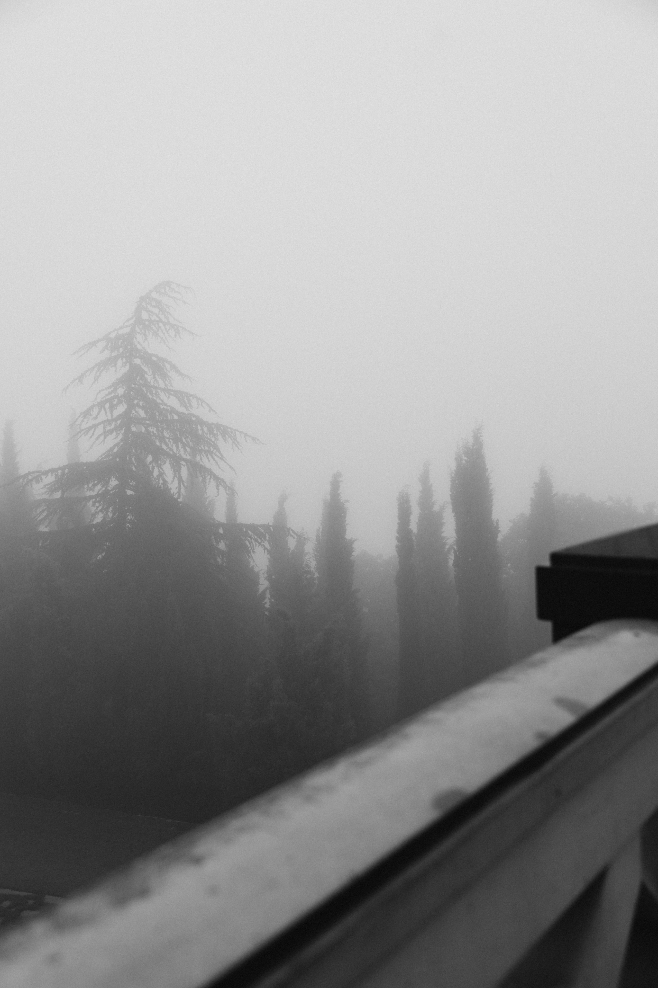 Грузия. Репортажный и детский фотограф в Минске