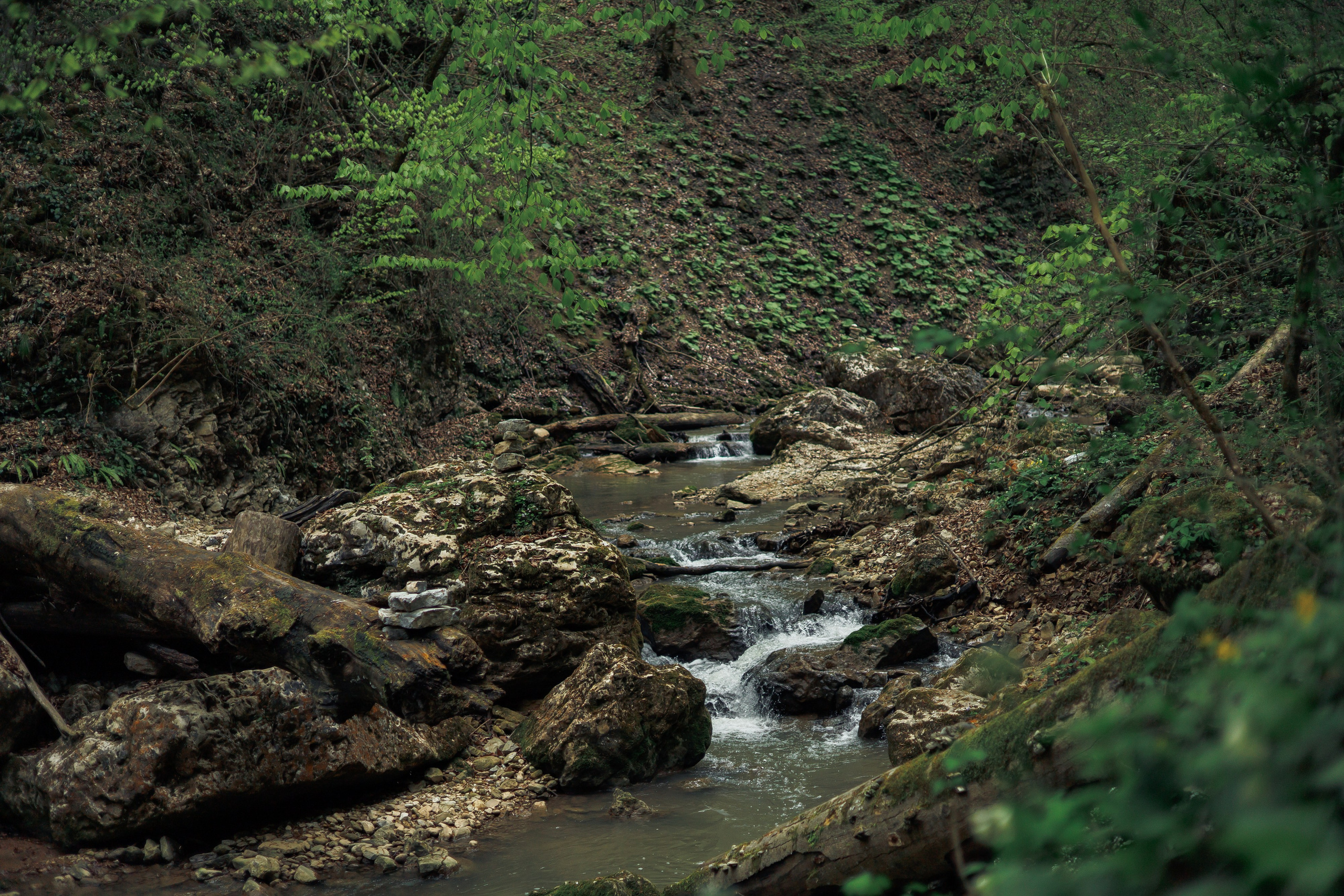 Адыгея. Водопады Руфабго 13.04.24. Фотограф katya_vkadre Таганрог