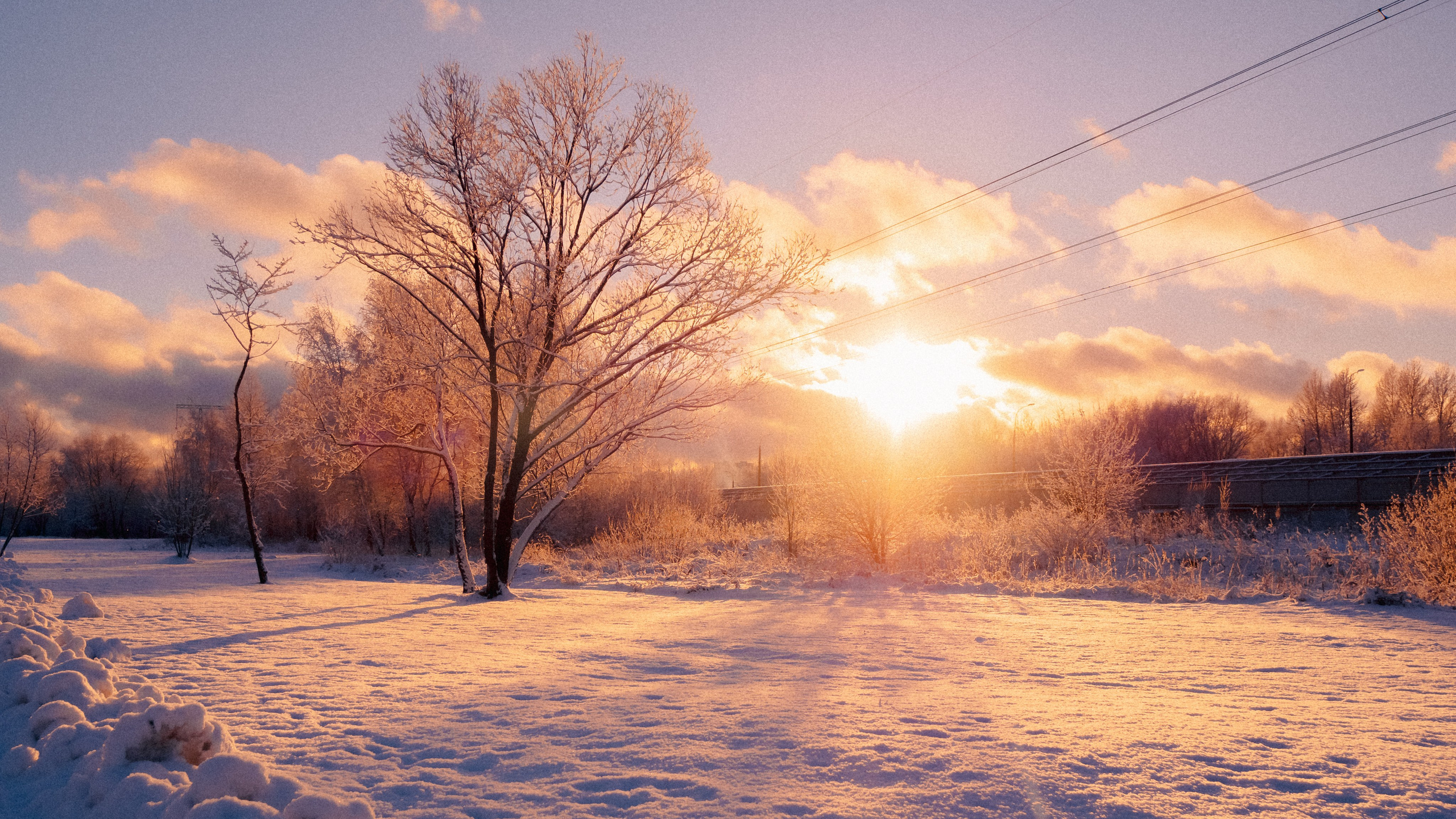 Зимняя сказка. Фёдор Малюгин. Ваш бади в визуале