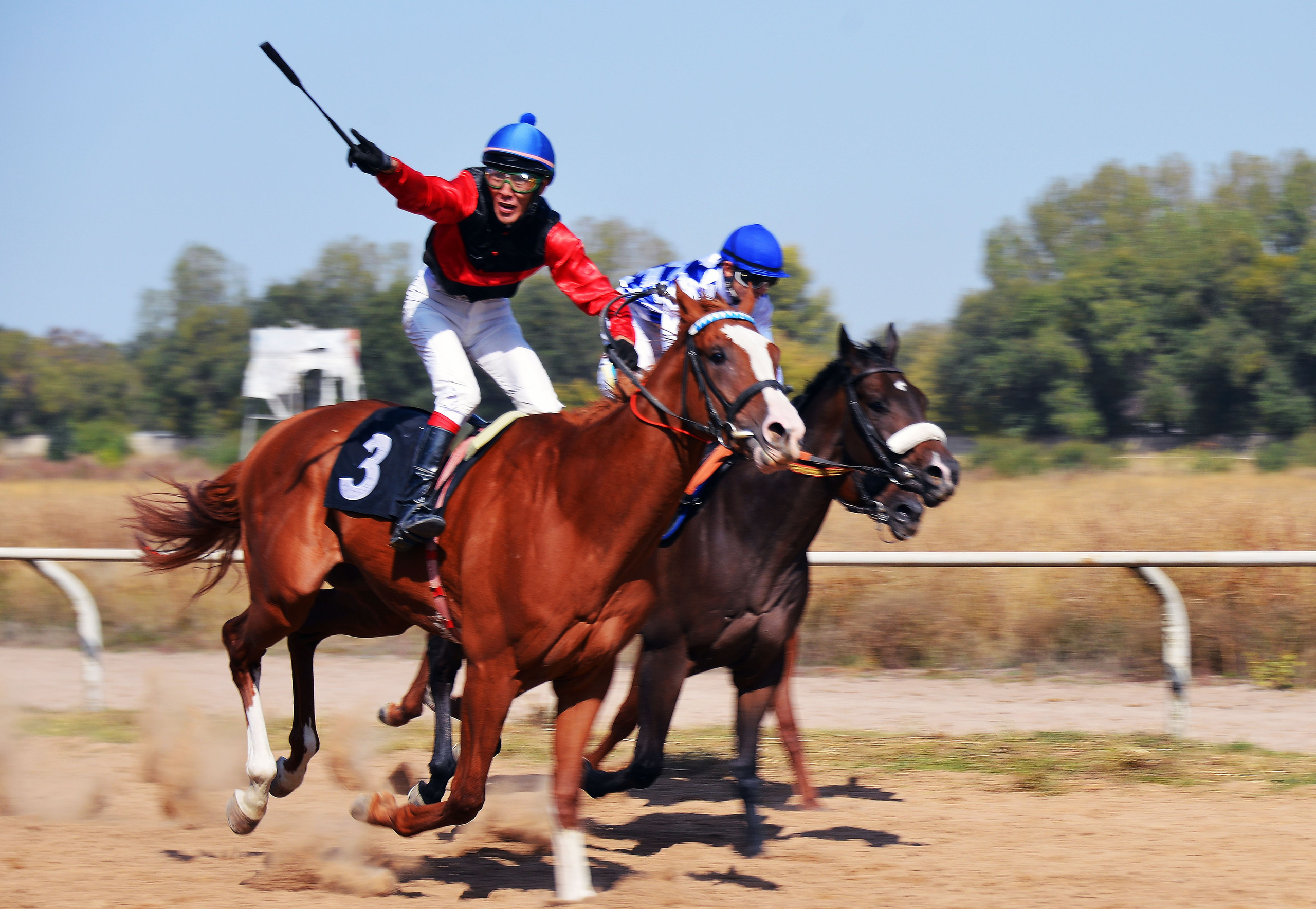 Скачки. Фотосъёмка. Фотограф Сергей Авдеев-семейный и детский фотограф в Алматы