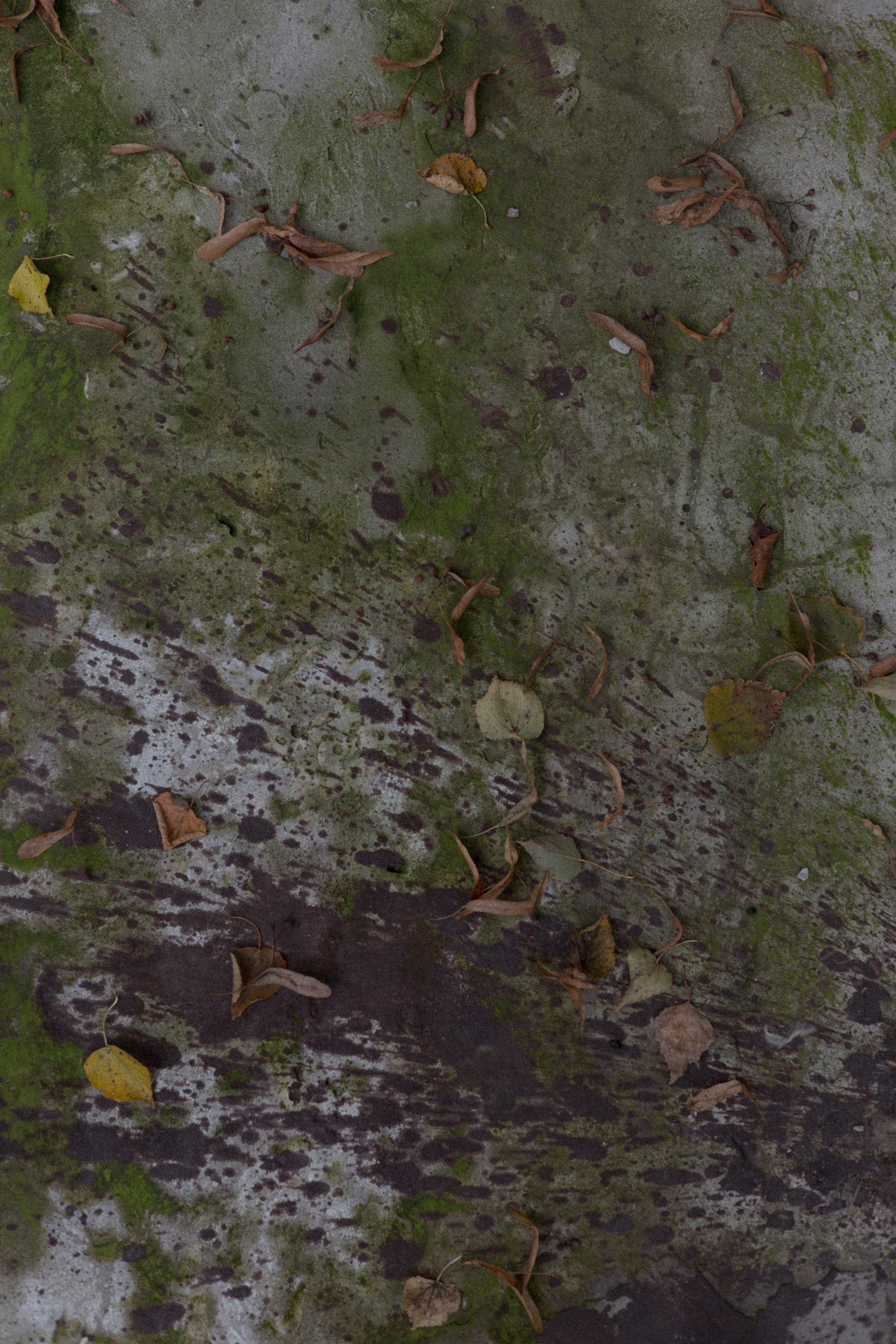 Мой дом и кто в нем живет. Свадебный фотограф Колесников Антон