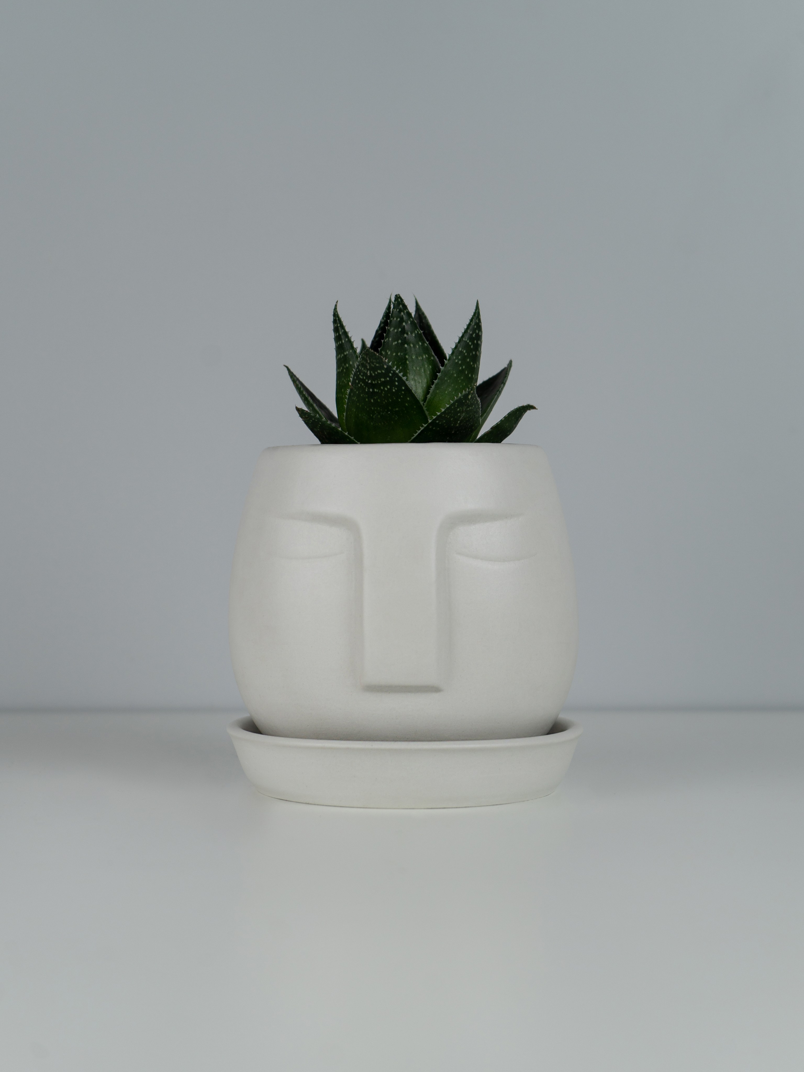 Ваза. Концептуальный фотограф Шлыкова Ольга