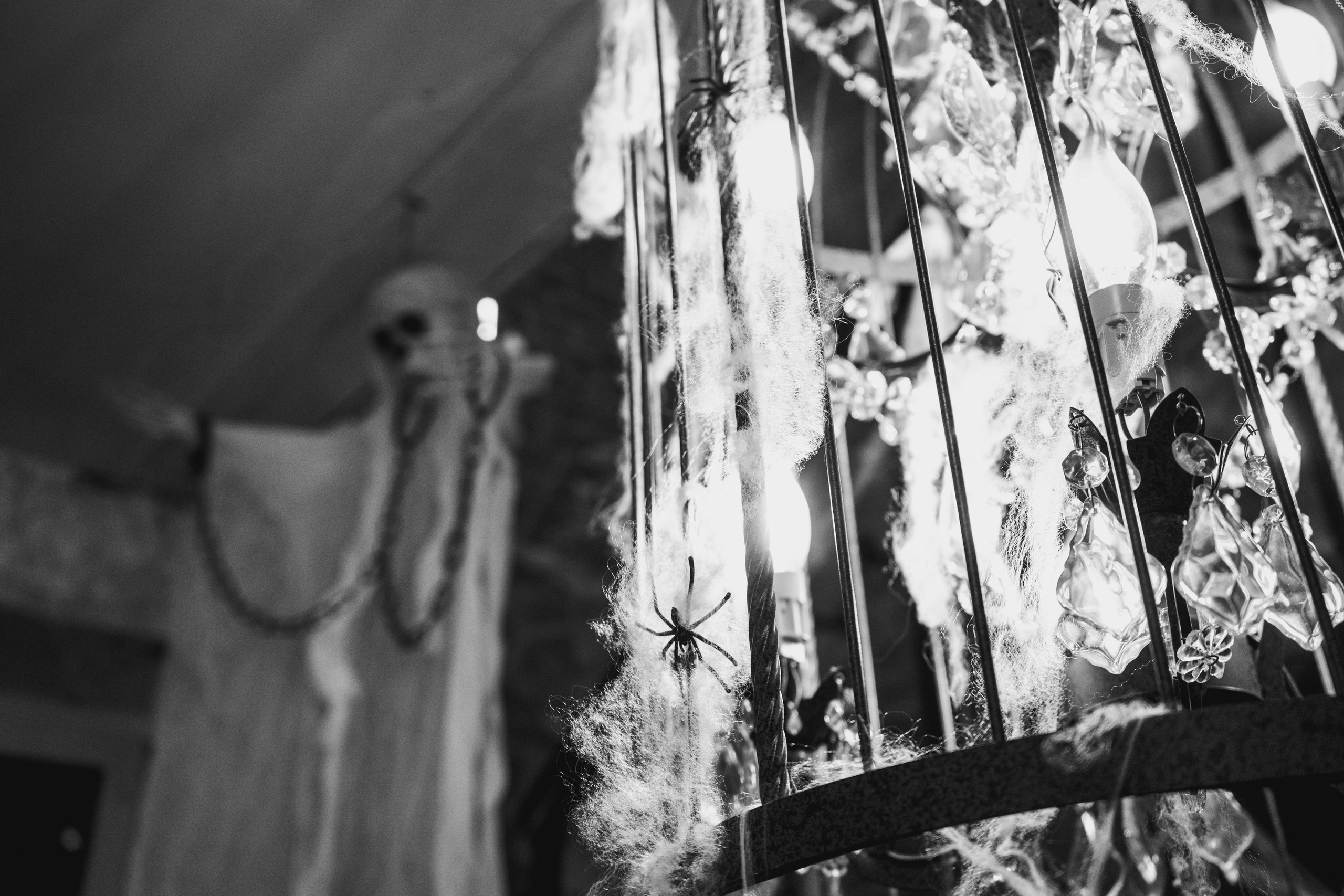 Кооператив Halloween. Концептуальный фотограф Шлыкова Ольга