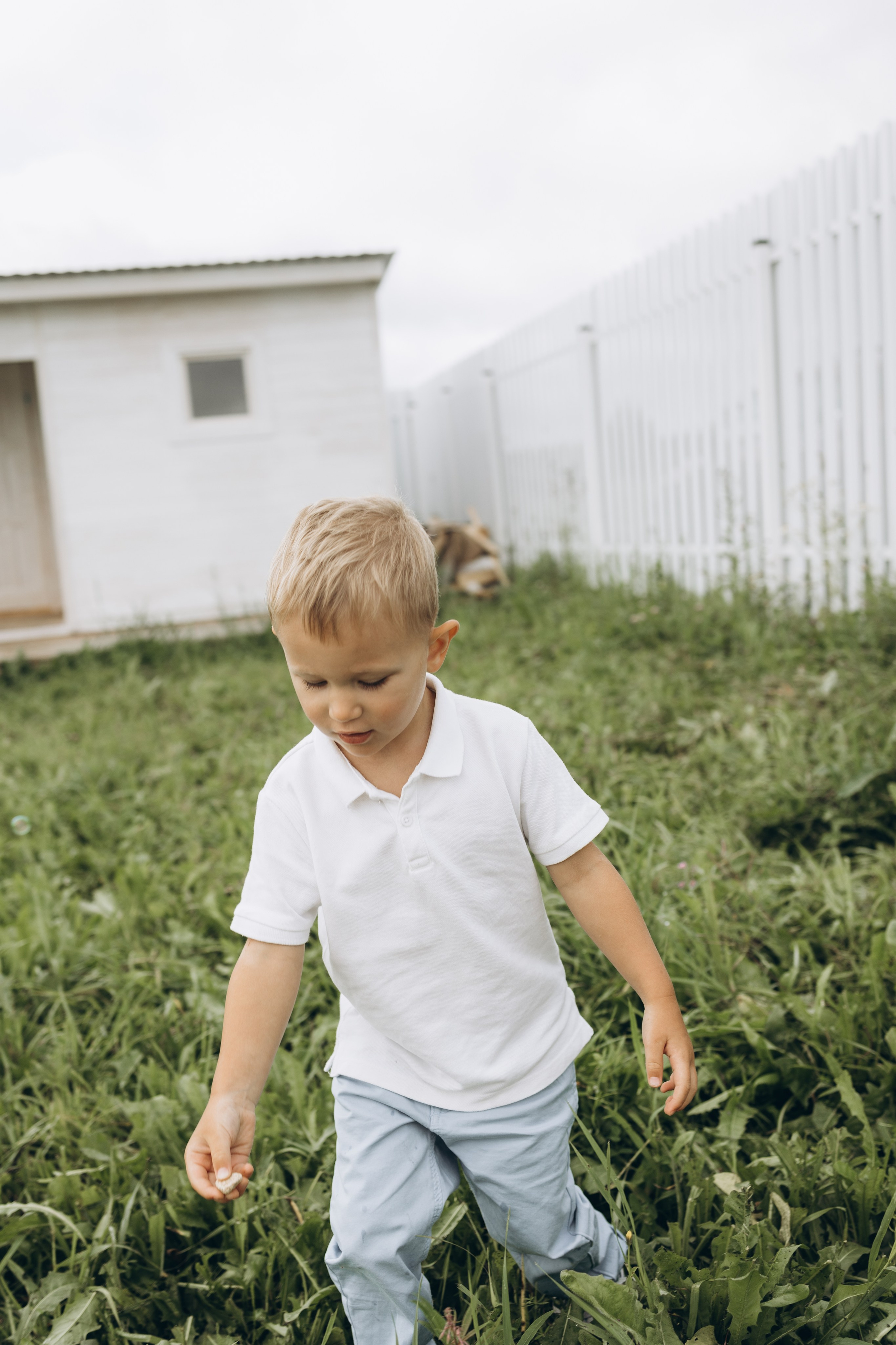 Роме 3 года. Семейный фотограф в Москве Виктория Ястребинская