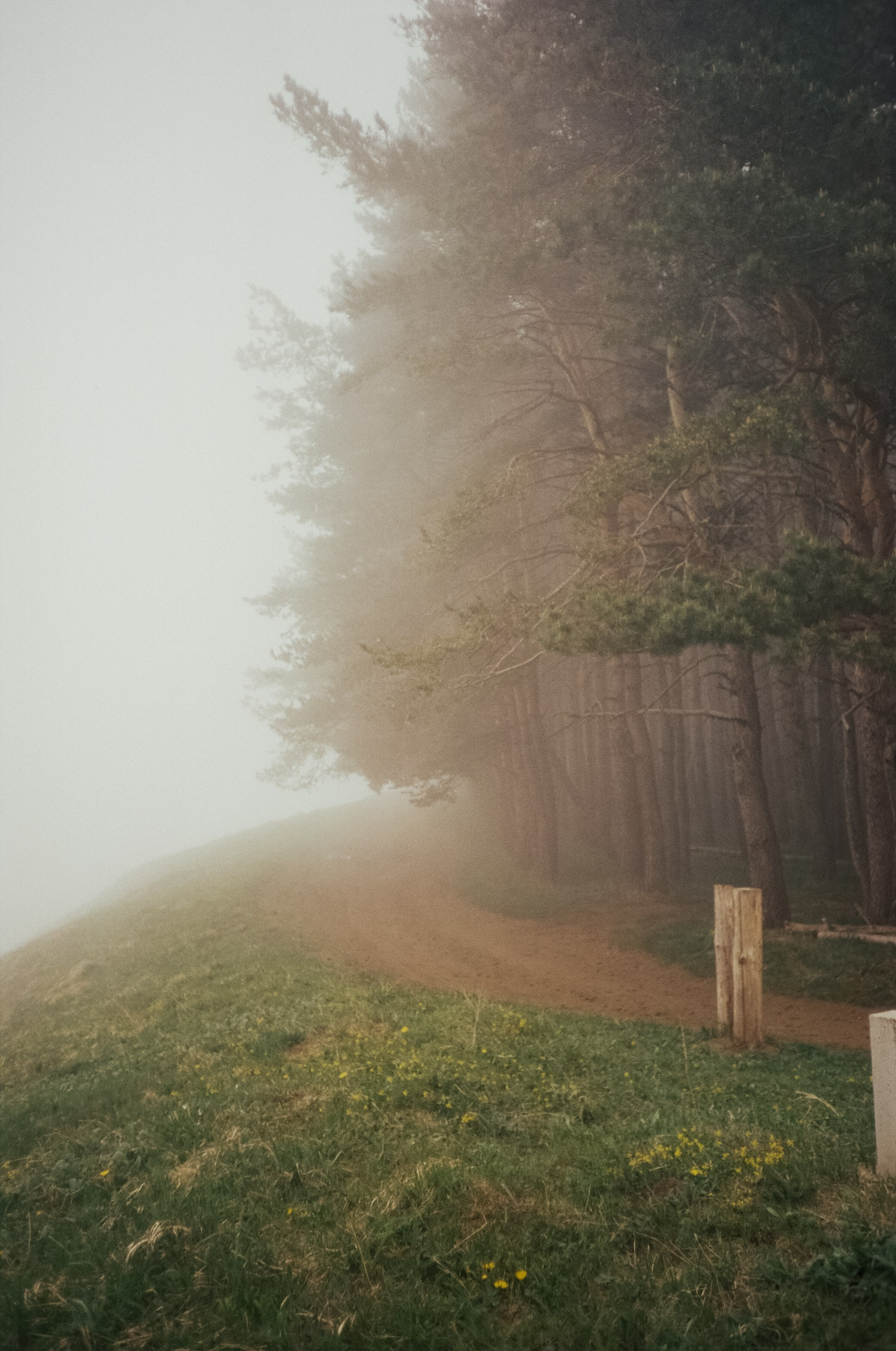Дорога к Джилы-Су и лошадки в тумане. Фотограф-документалист Мария Осокина
