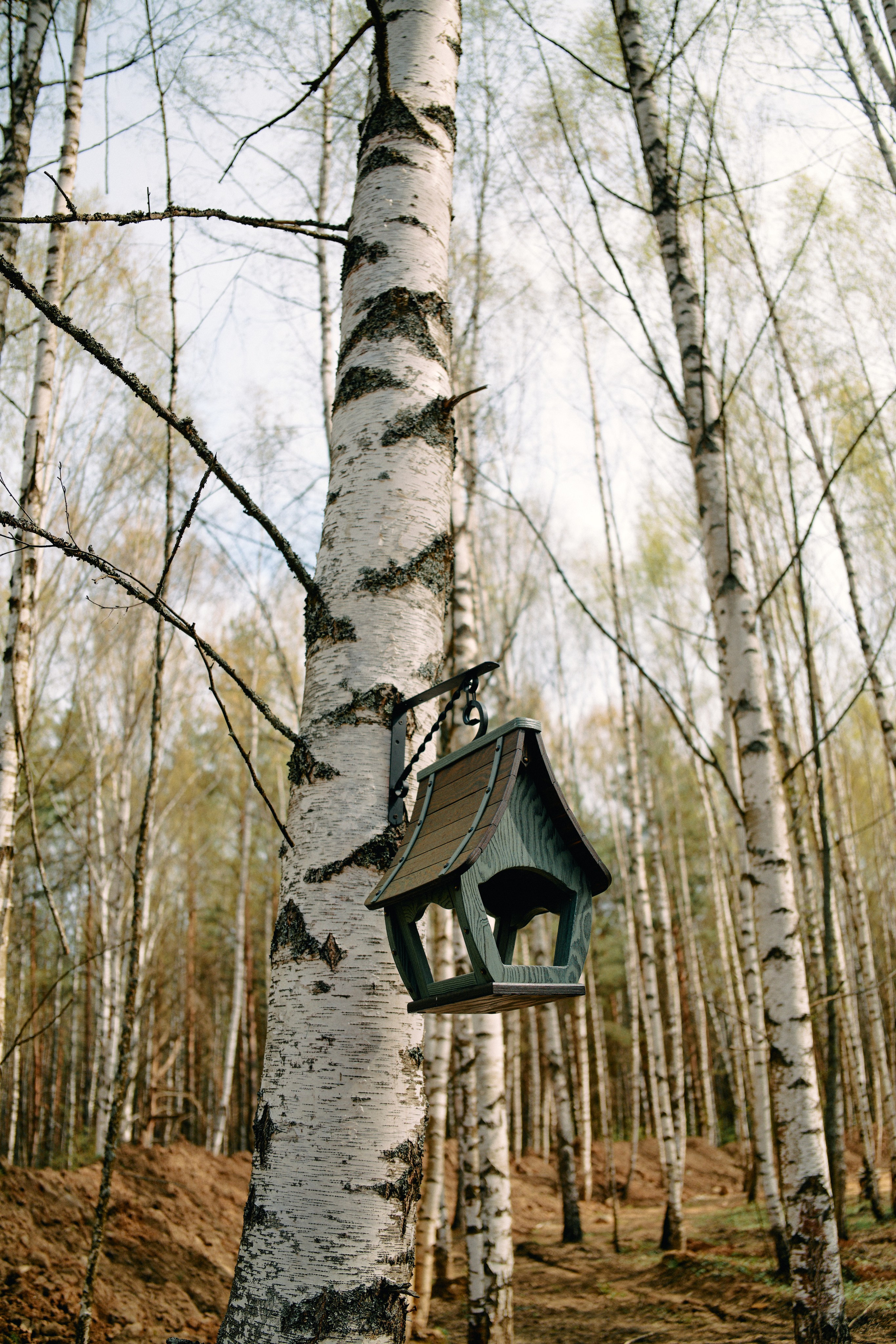 Бутик-отель Поле летом. Профессиональный Фотограф во Владимире, в Москве и в Суздале — Полина Романычева