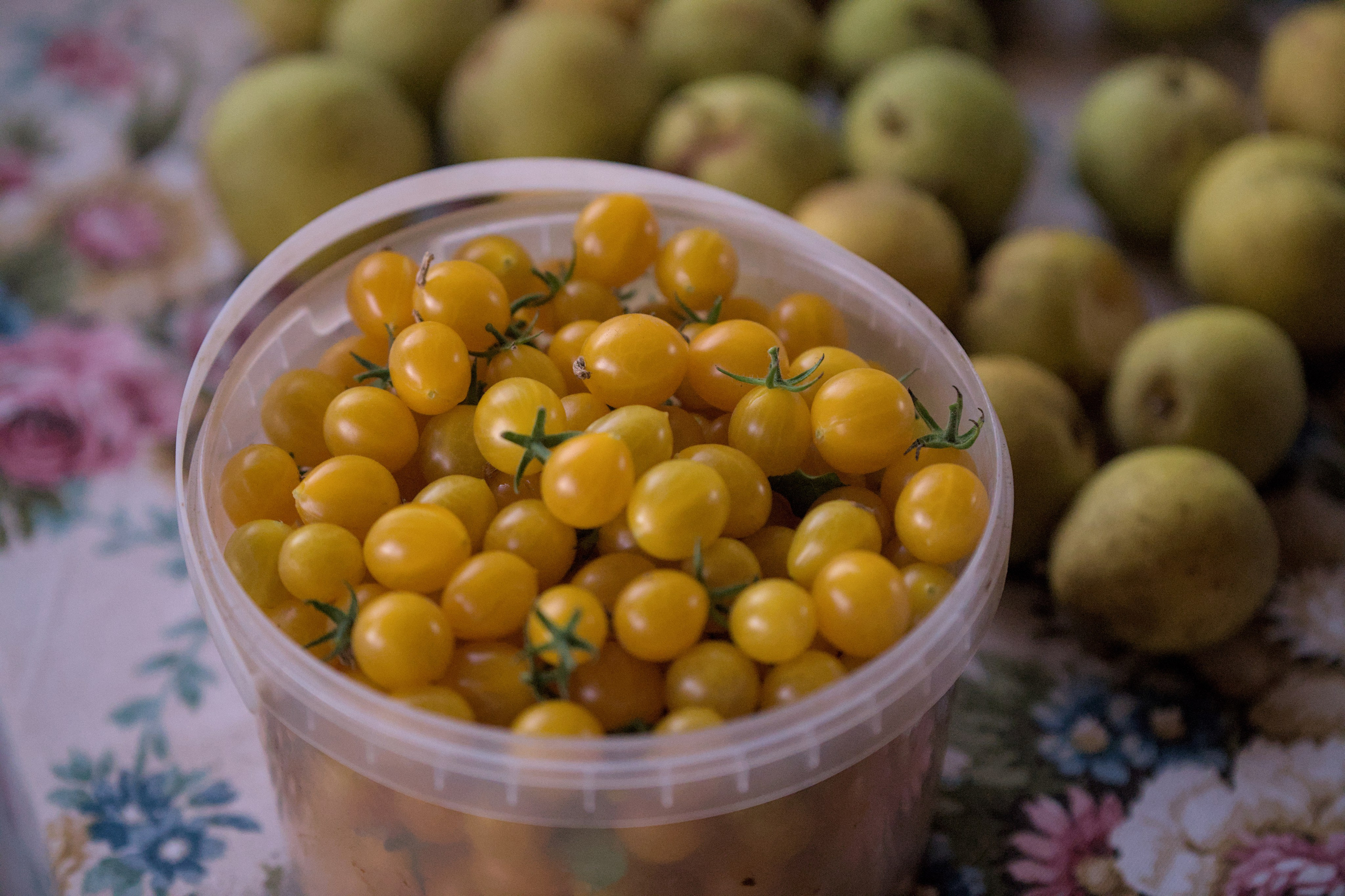 Природа. Фото детских спортивных мероприятий и всякое интересное через объектив