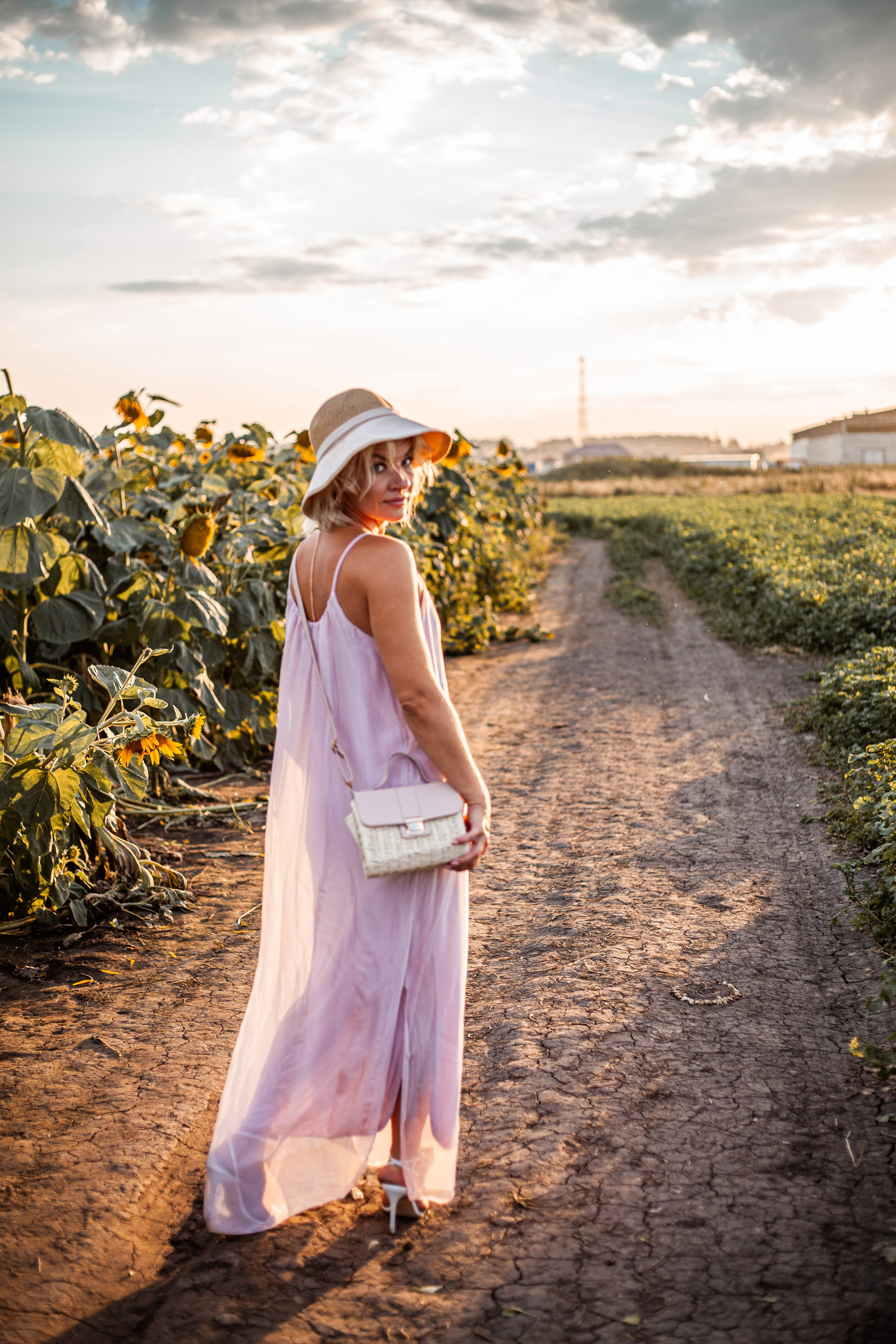 Подсолнухи!