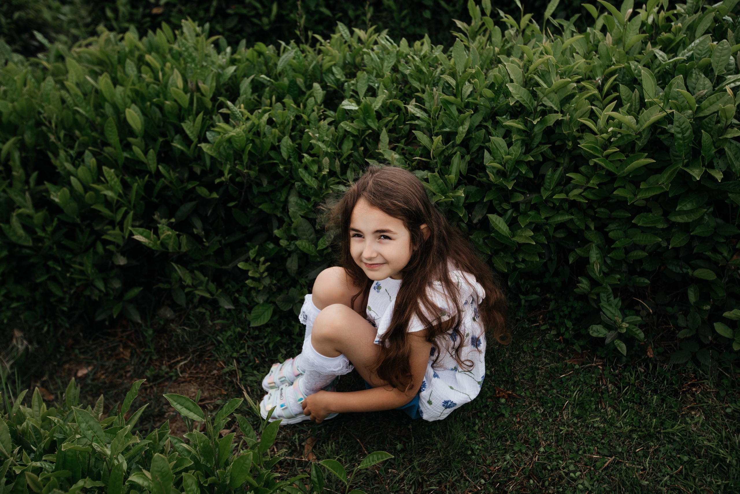 Tea plantation. Efimova Model Agency