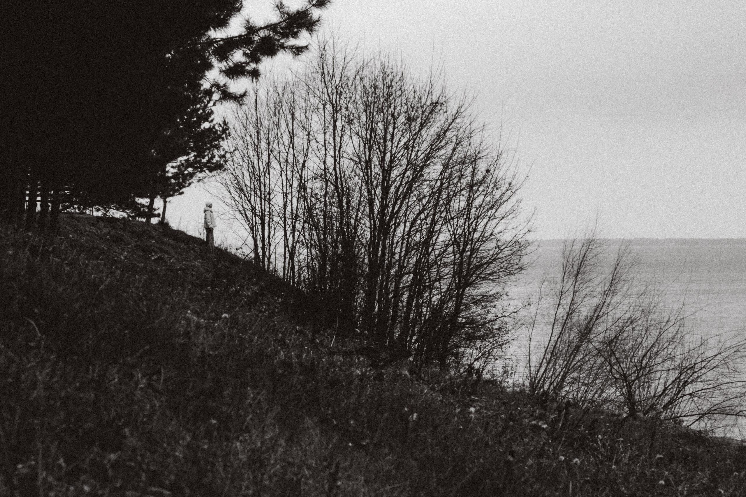 Семейная прогулка. Привет! Меня зовут Дарья и я фотограф/видеограф из Ульяновска