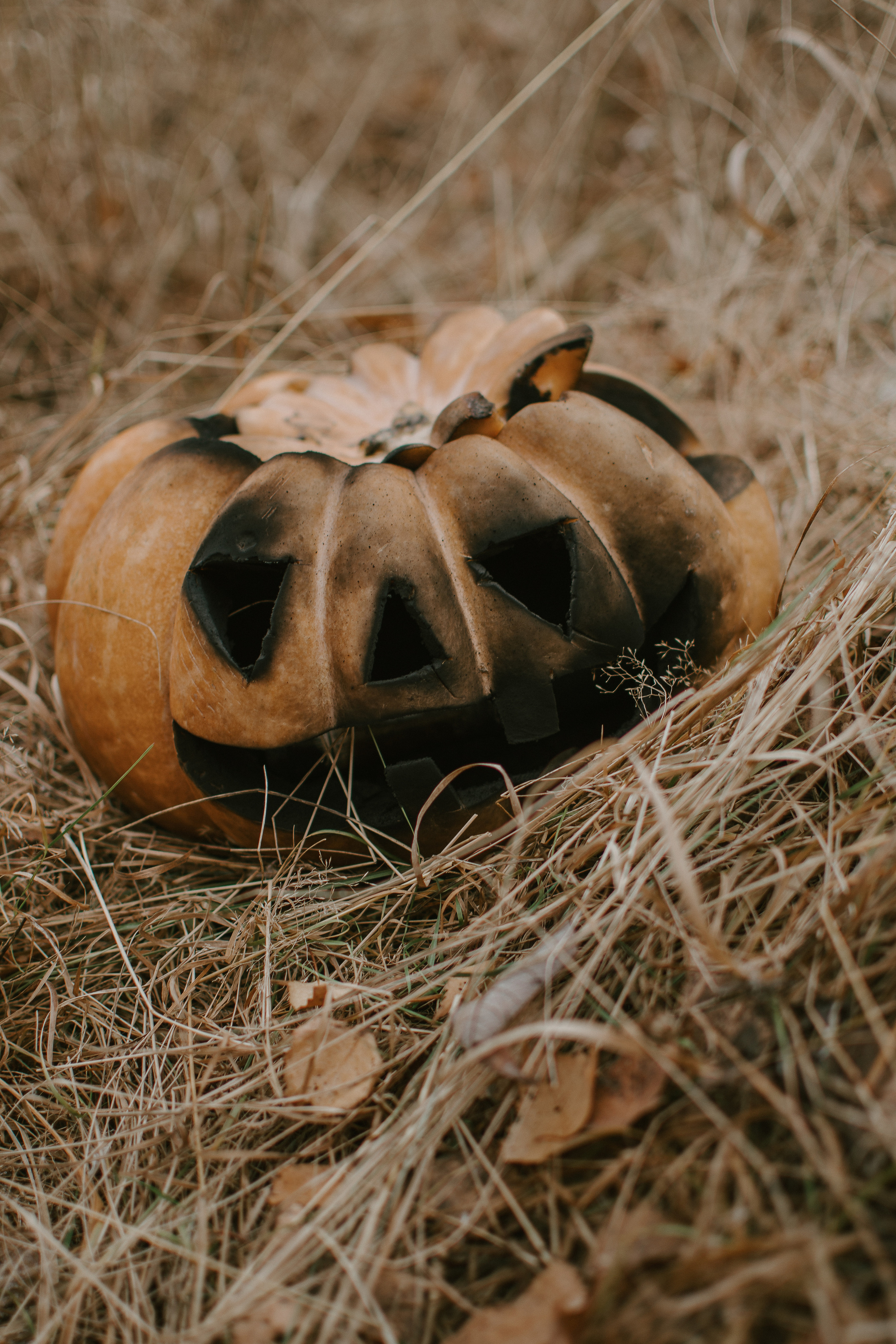 HALLOWEEN 2k22. Егор Засыпыч