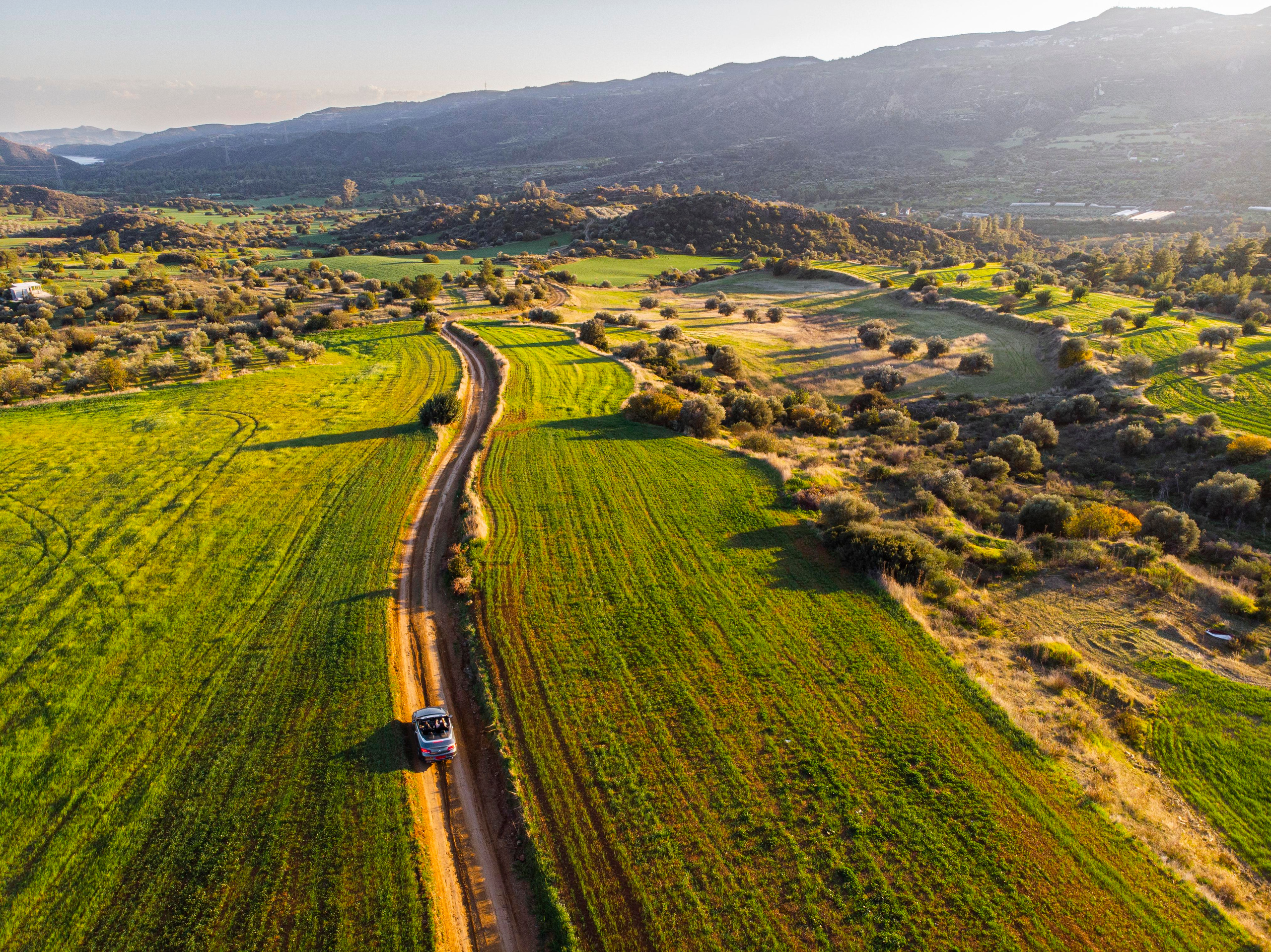 Weddings in Cyprus. Photographer in Cyprus