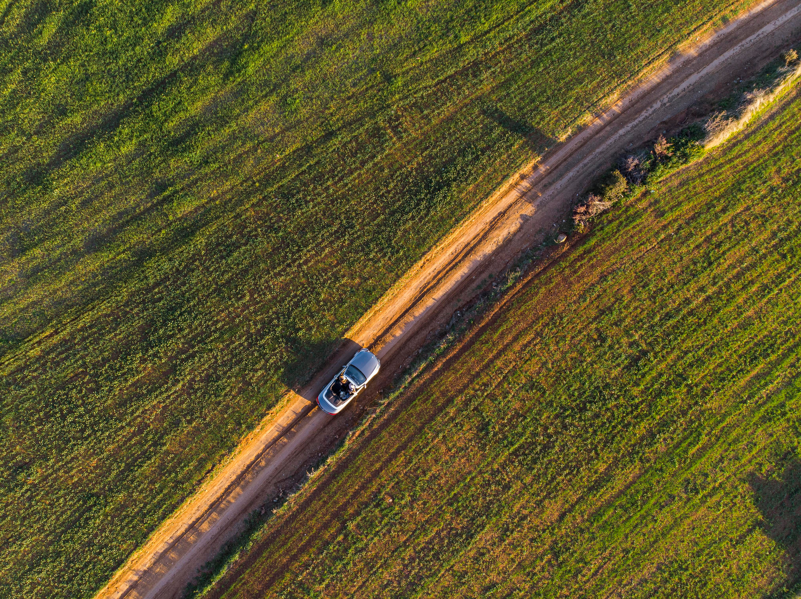 Weddings in Cyprus. Photographer in Cyprus