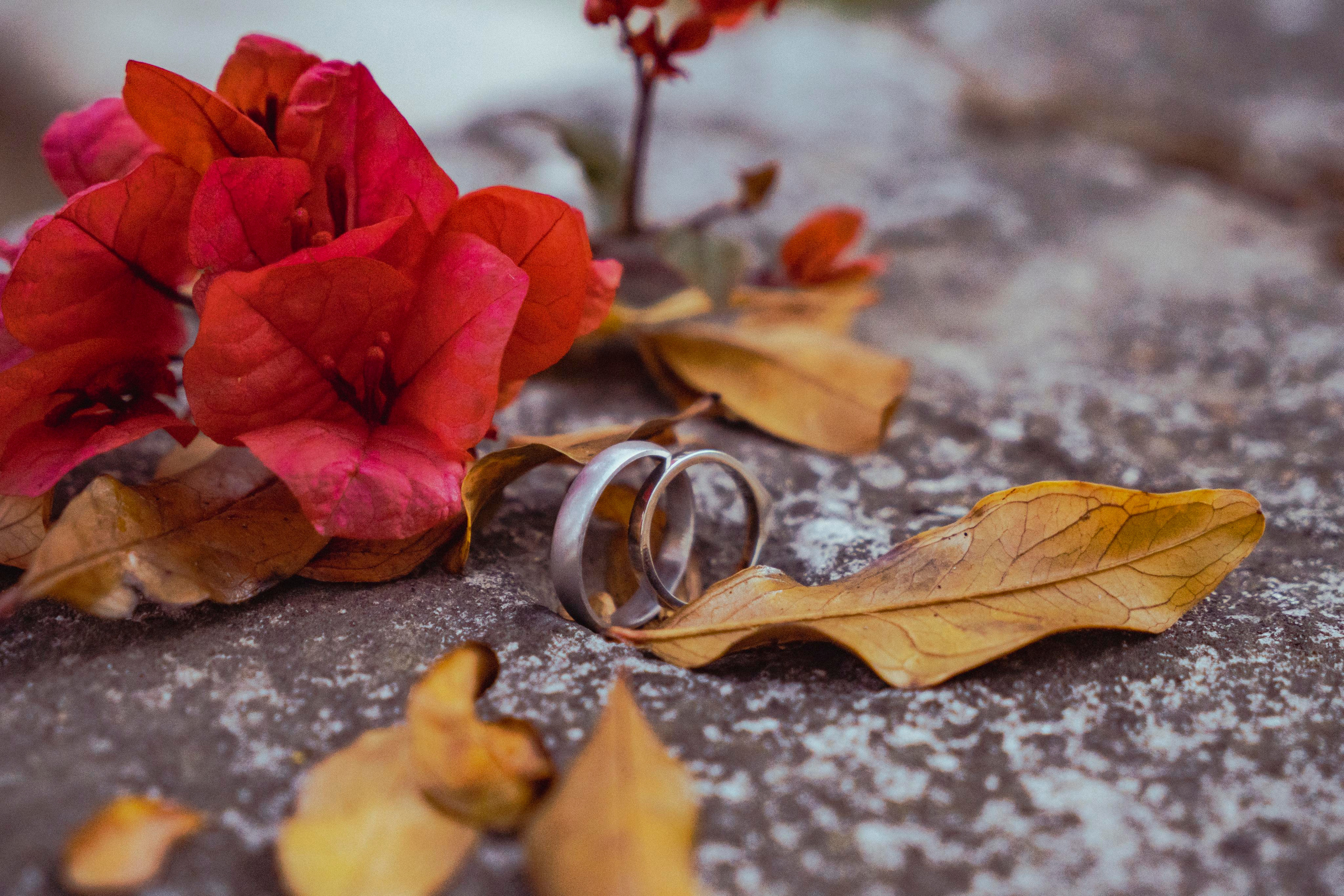 Weddings in Cyprus. Photographer in Cyprus