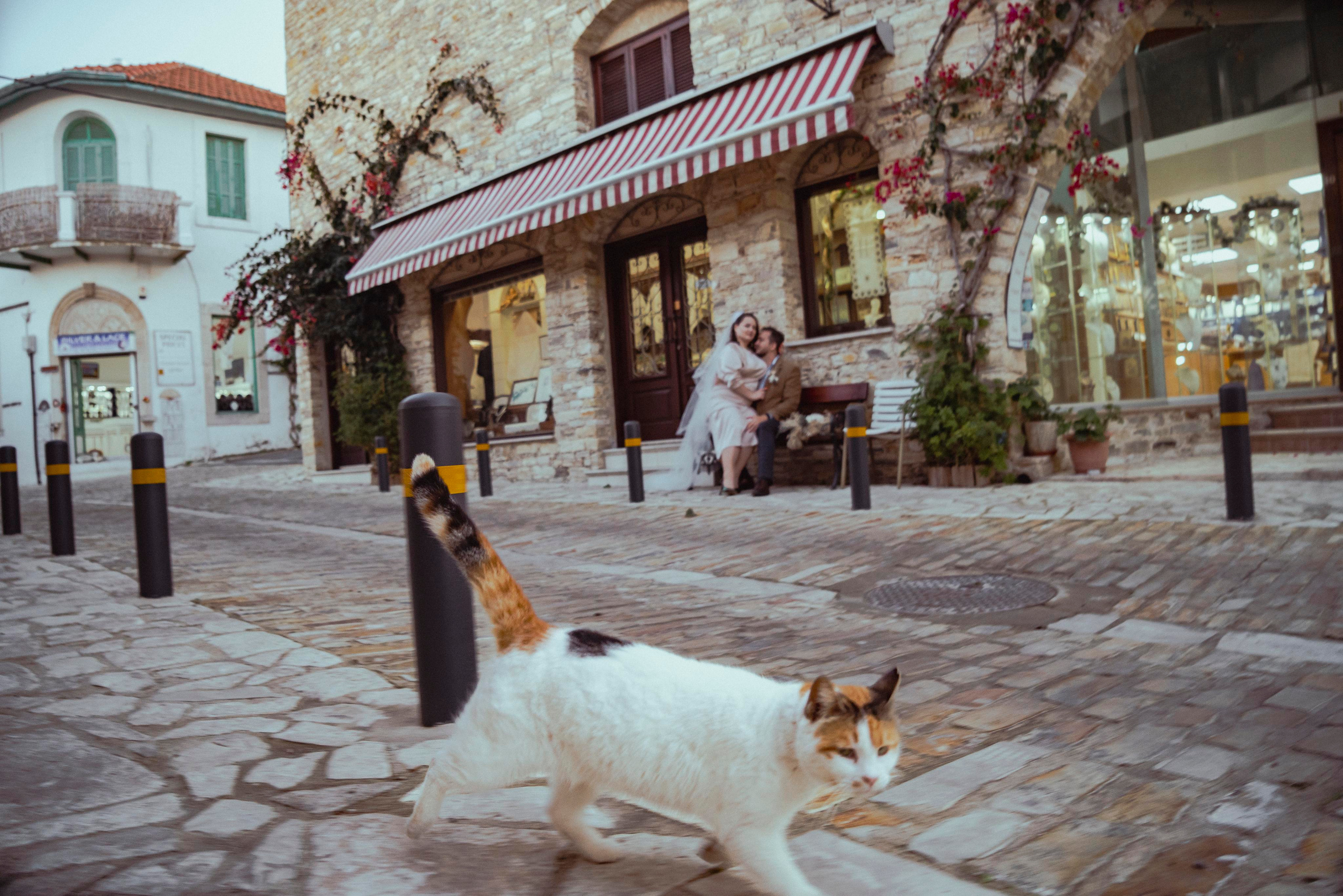 Weddings in Cyprus. Photographer in Cyprus