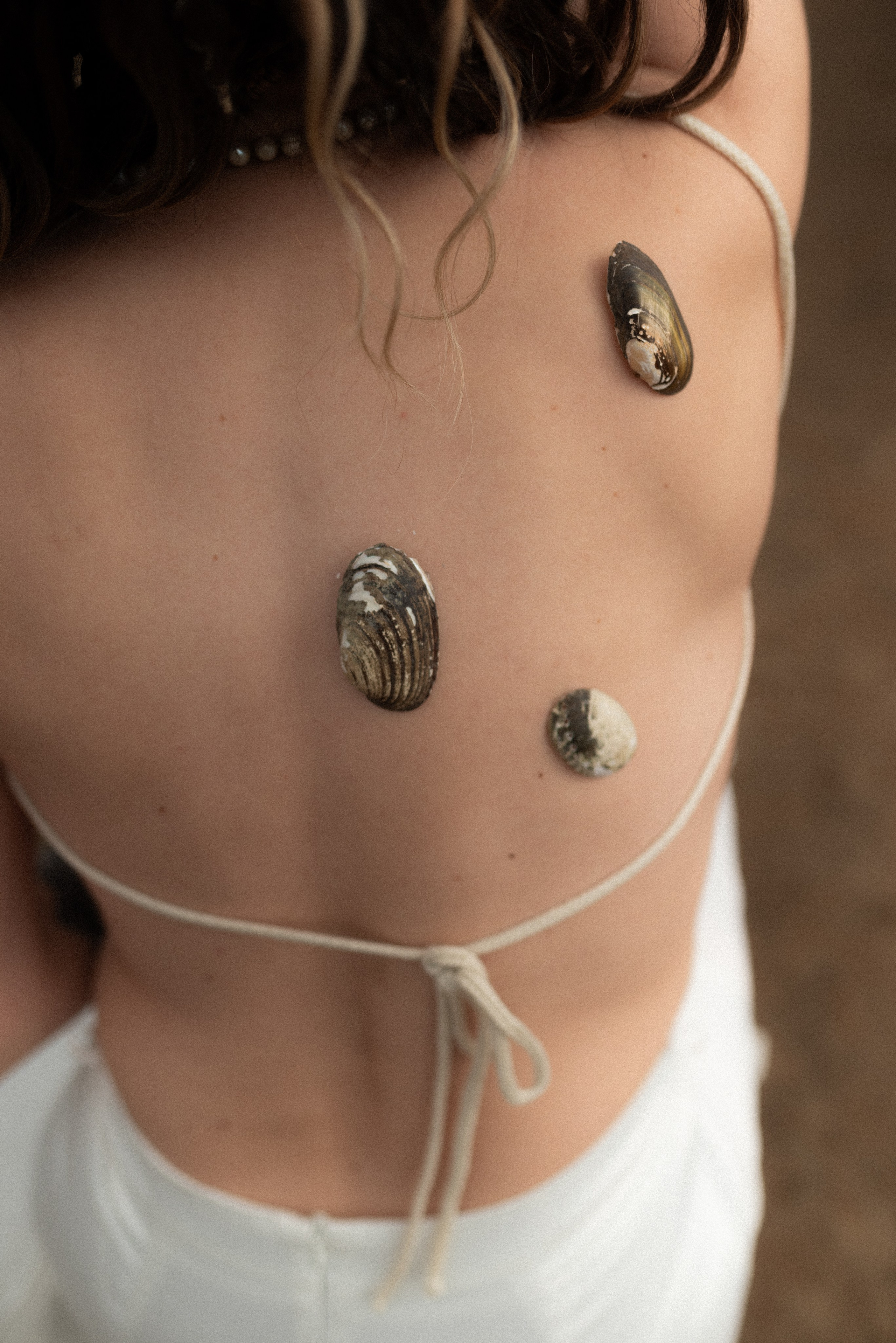 Сирена. Главная