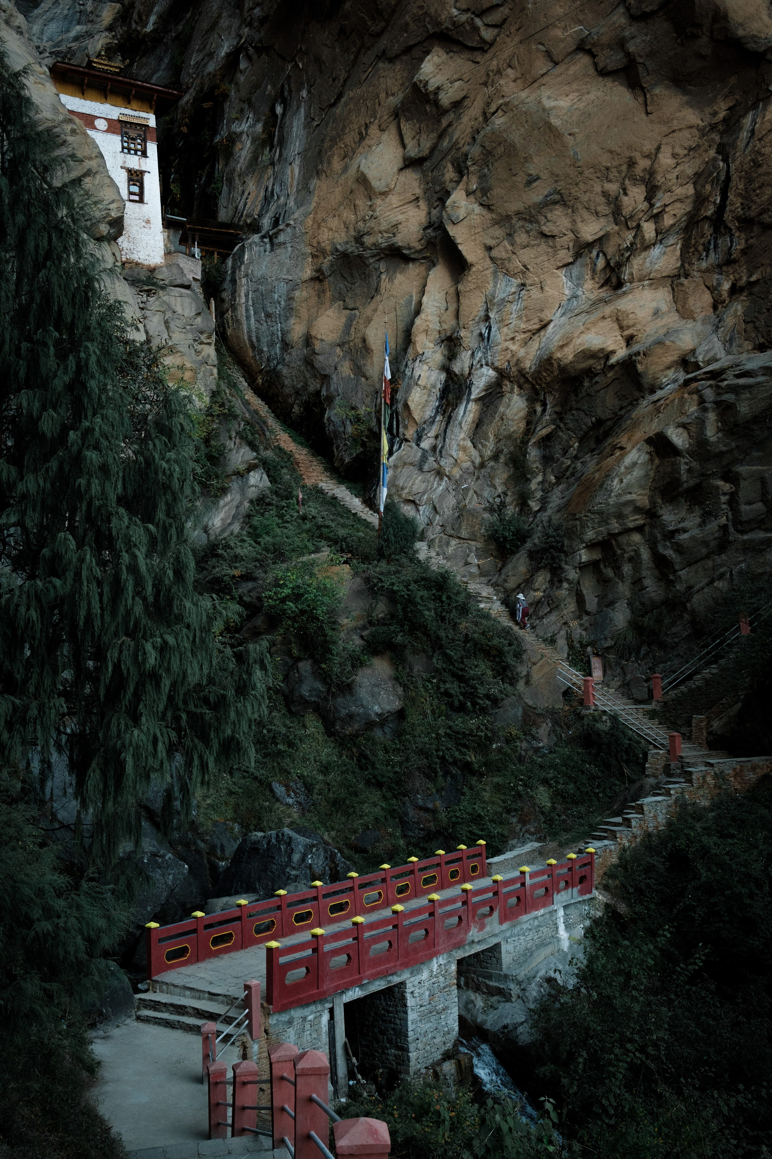 Bhutan. Dmitry Ippolitov