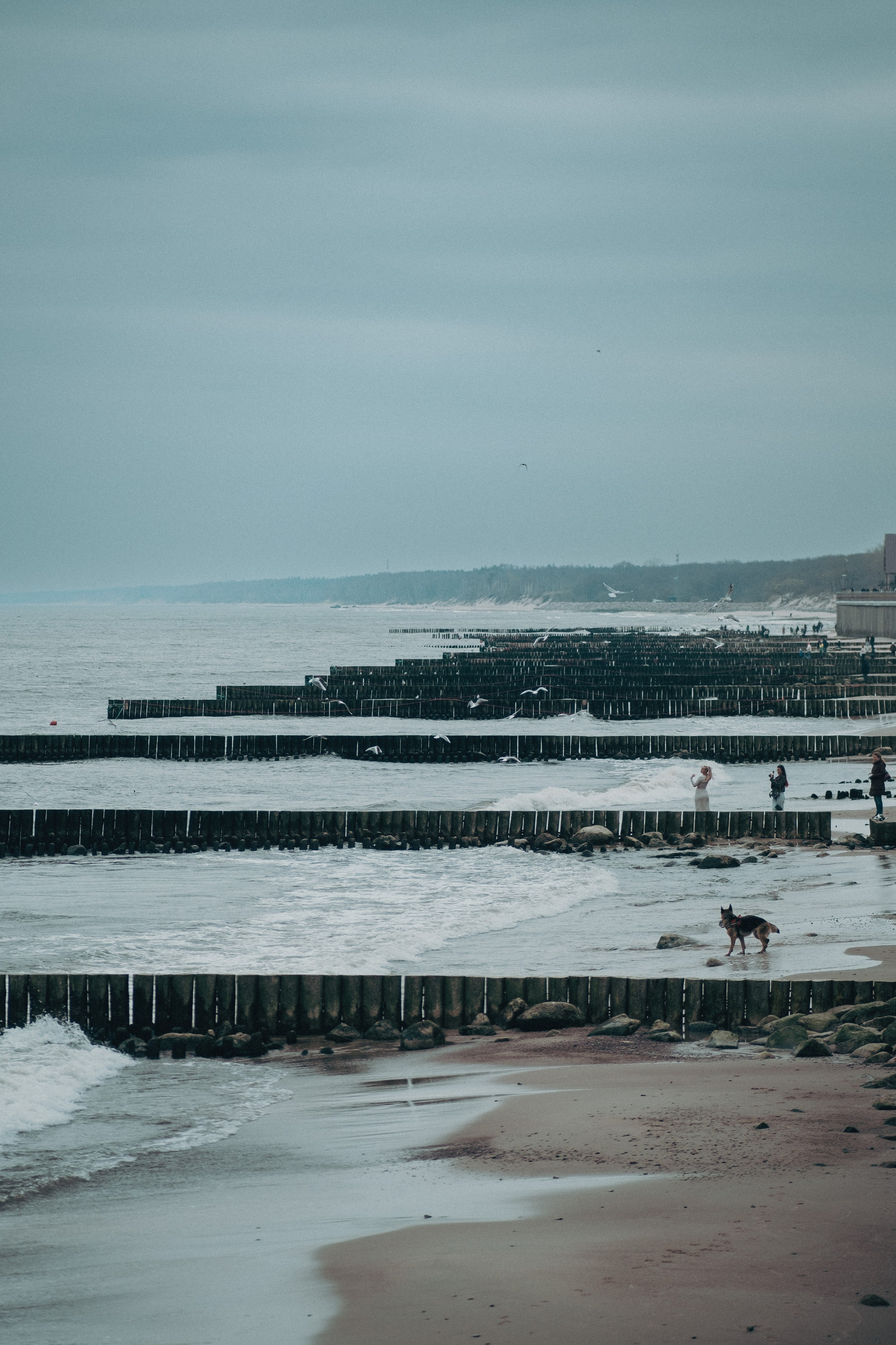 Other. Dmitry Ippolitov