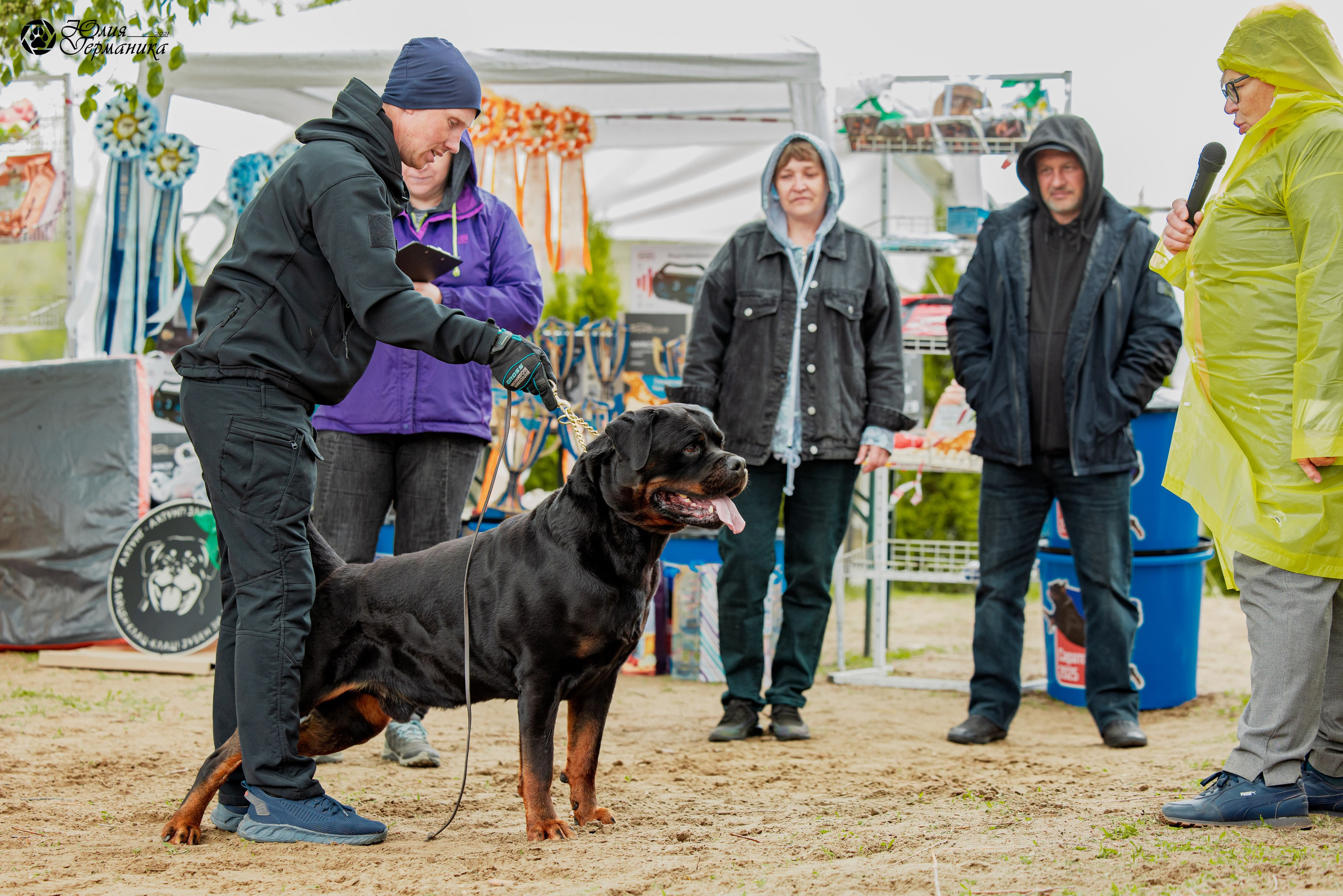 Саратов моно ротвейлеров 26-27.04.2025. Фотограф-анималист Юлия Германика