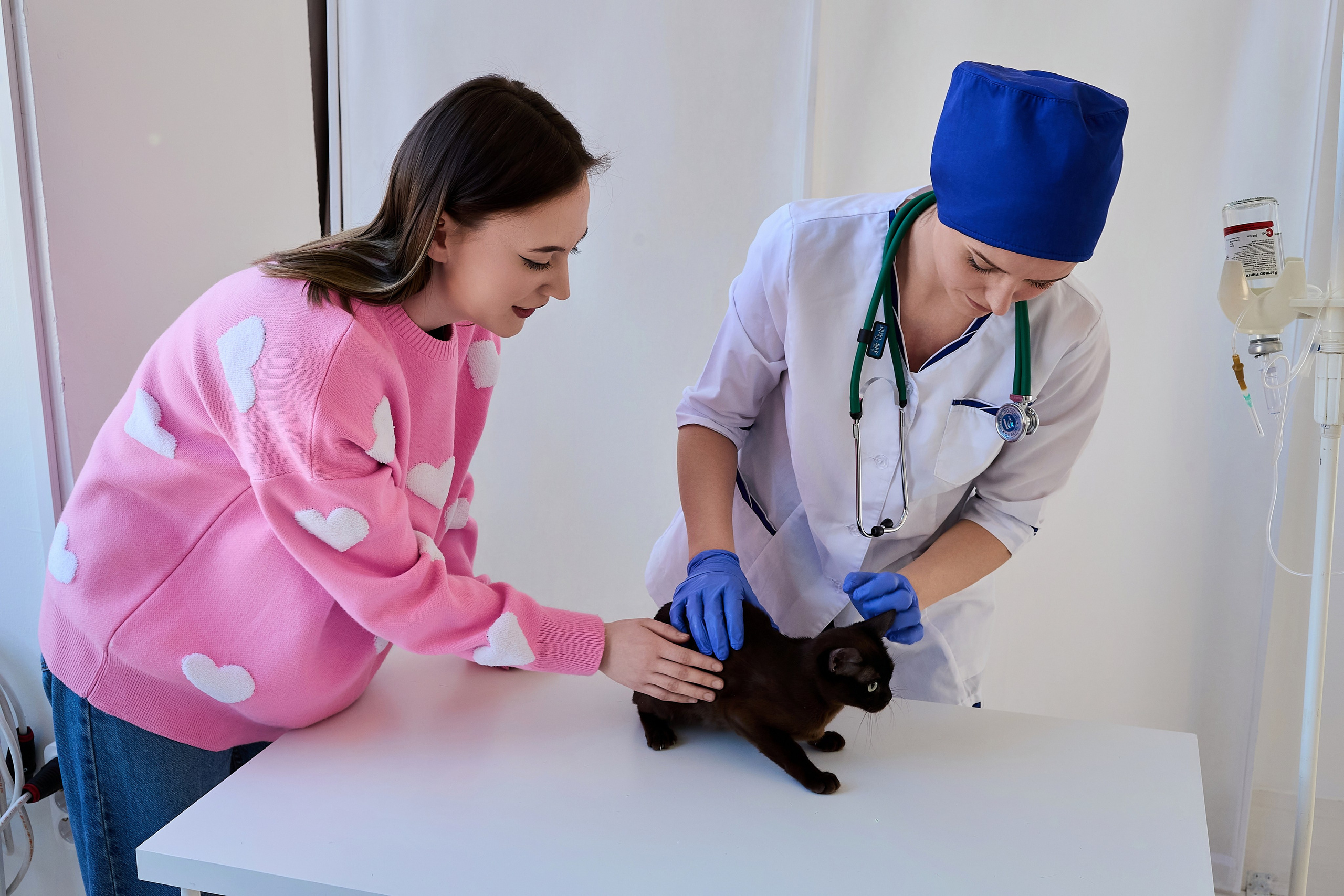 Контент для ветеринарного лендинга правительства Москвы. Фотограф и Видеограф в Москве. Олег Корушев