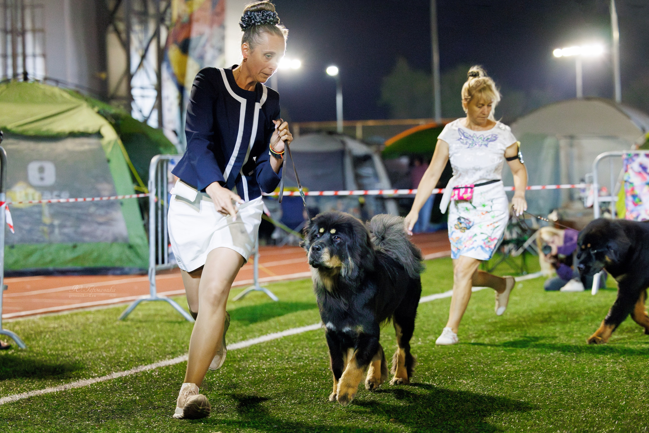 Волгоград 2-4.08.2024. Фотограф-анималист Юлия Германика