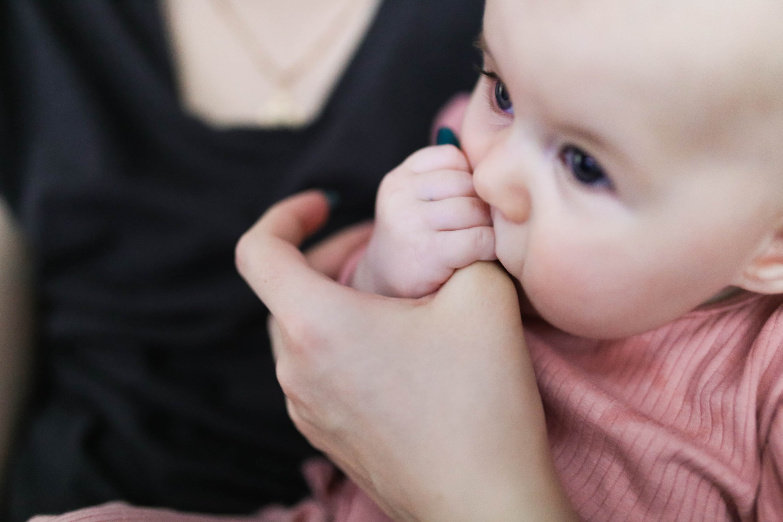 Первенец. Главная