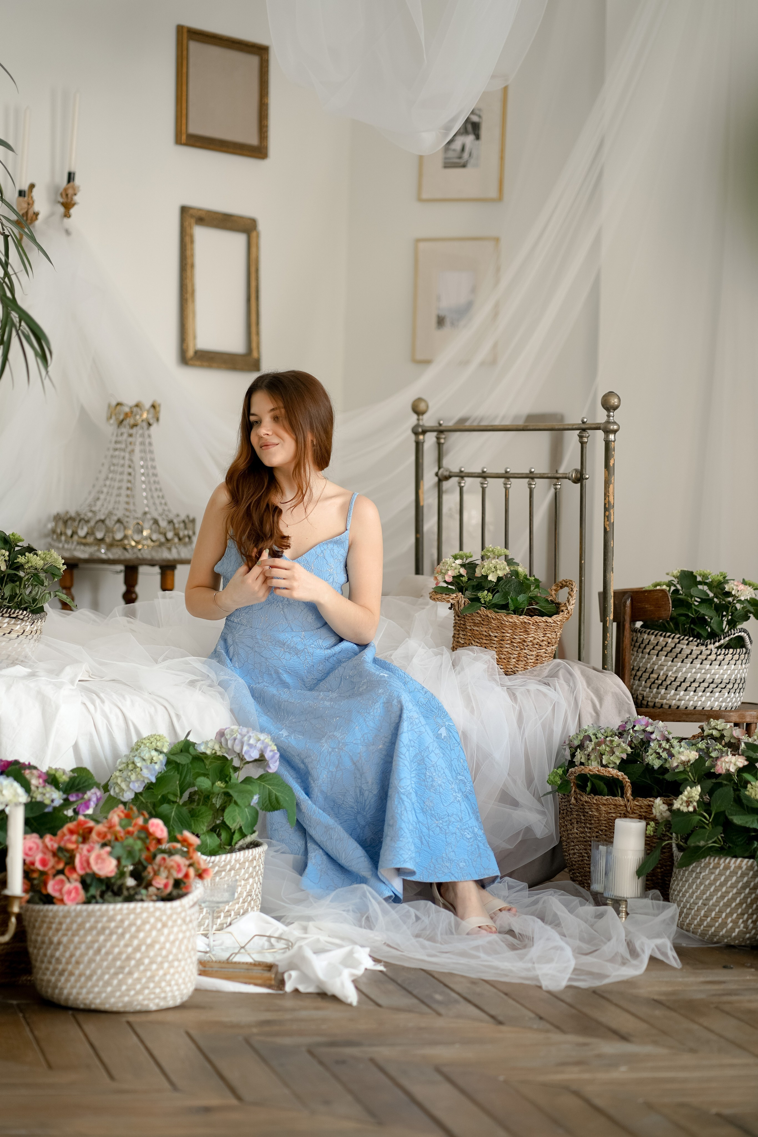 В ароматах гортензий. Фотограф Татьяна Митрофанова