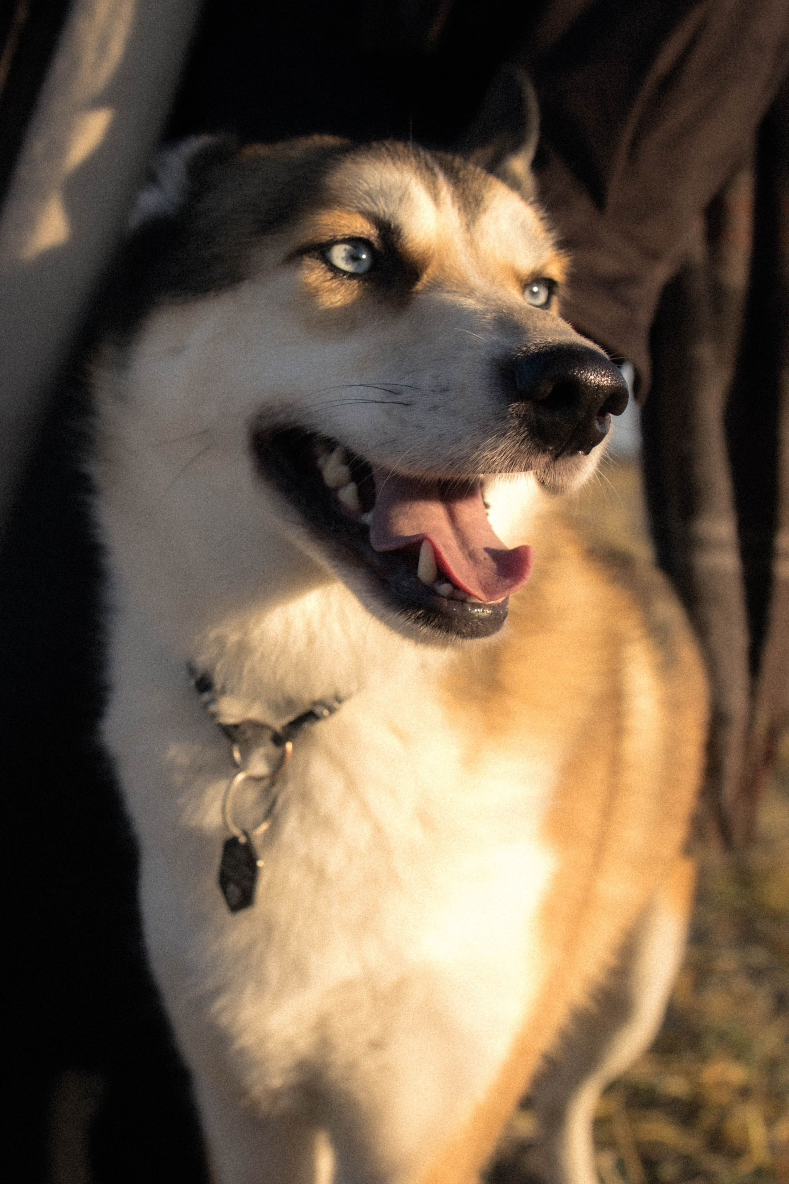 Анастасия и Читос. Фотограф Виктория Куприянова