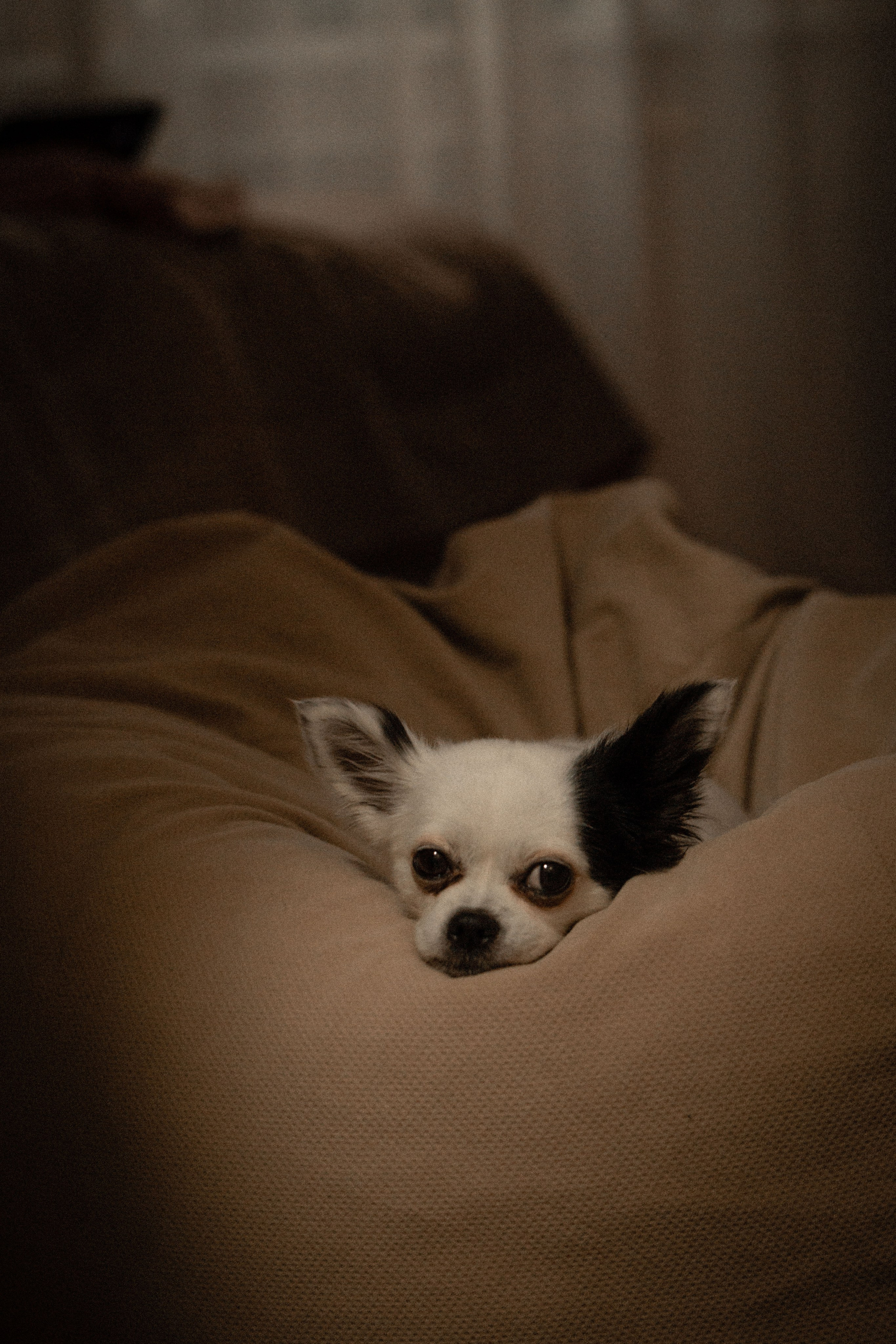 Лера и Максим. Фотограф Виктория Куприянова