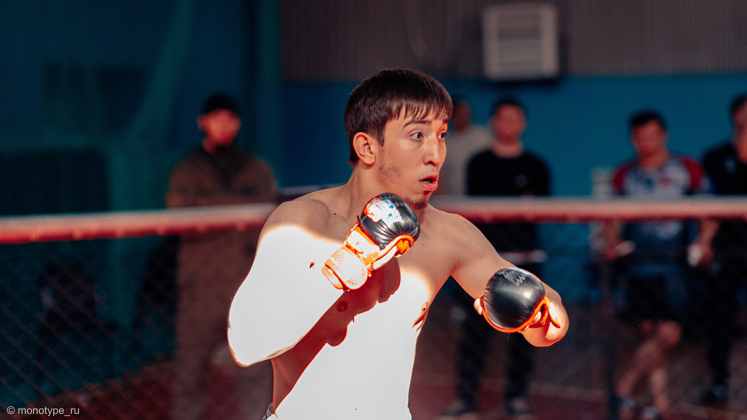 MMA. Бойцовский турнир