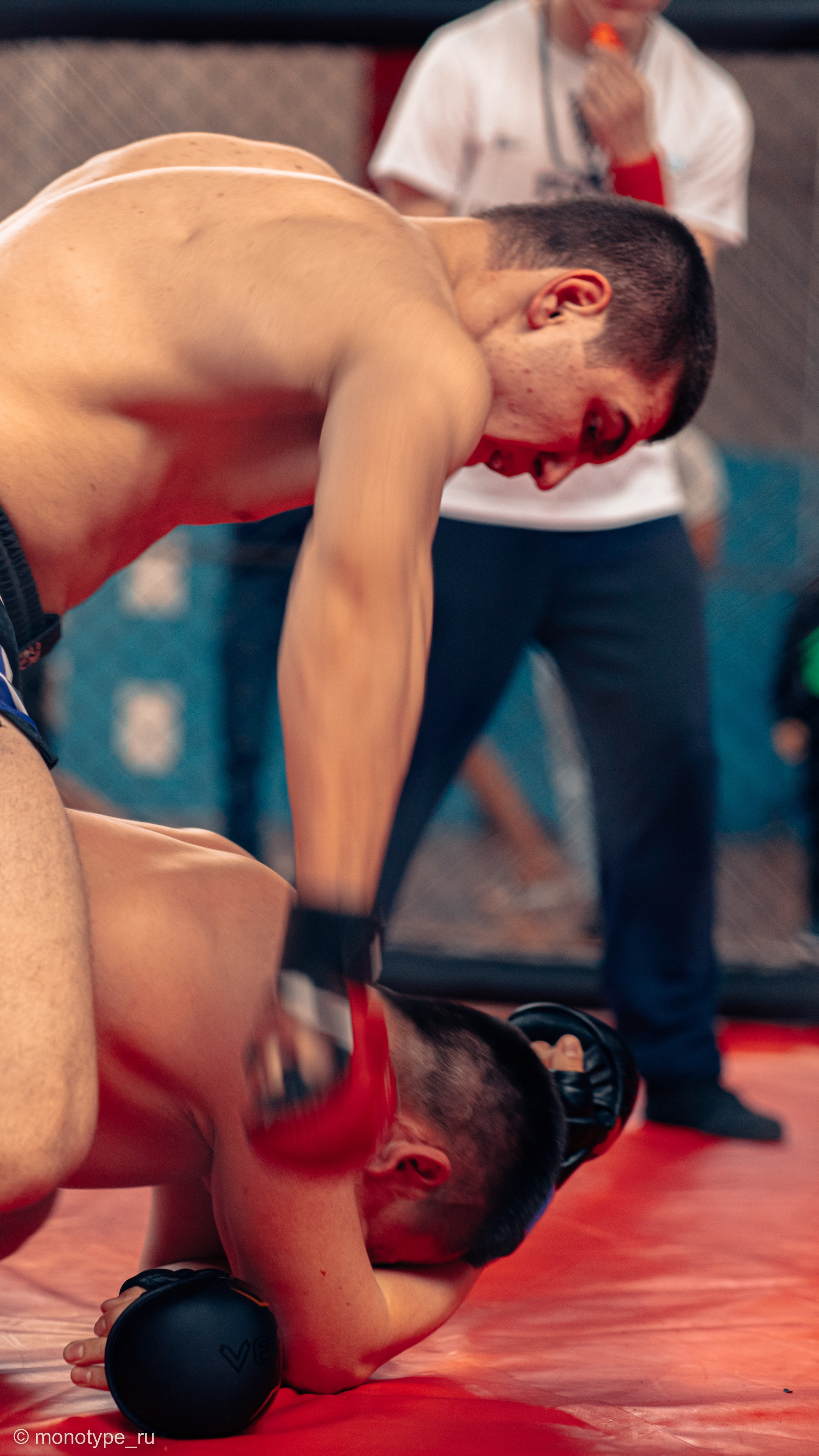 MMA. Бойцовский турнир